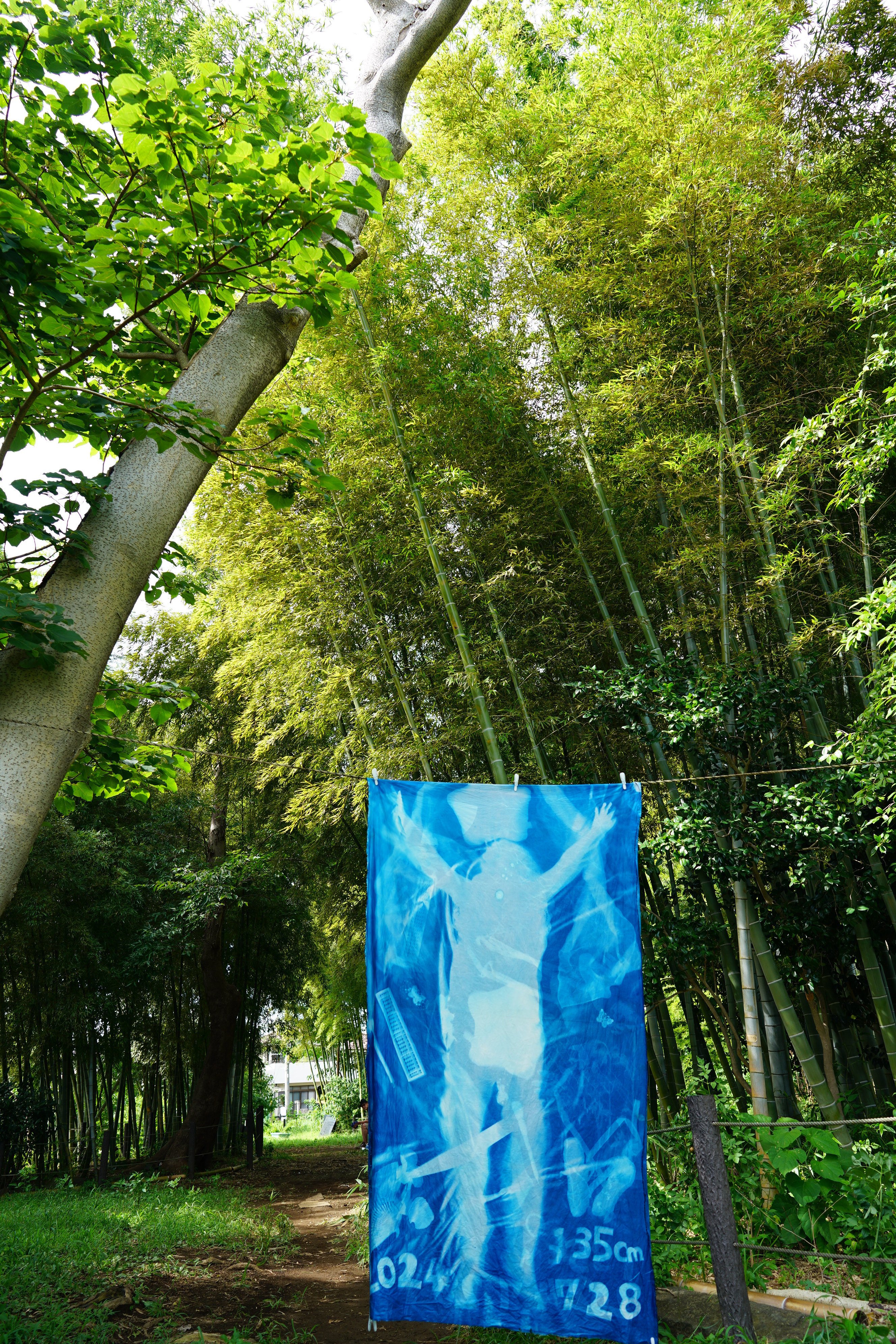Art Project 2024】等身大の影をつかまえませんか?「BODY PRINT Art Project 2024】等身大の影をつかまえませんか?「BODY PRINT
