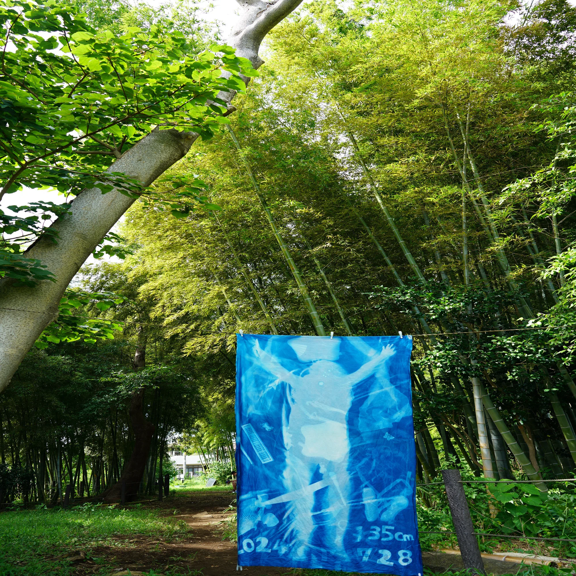 Art Project 2024】等身大の影をつかまえませんか？「BODY PRINT 