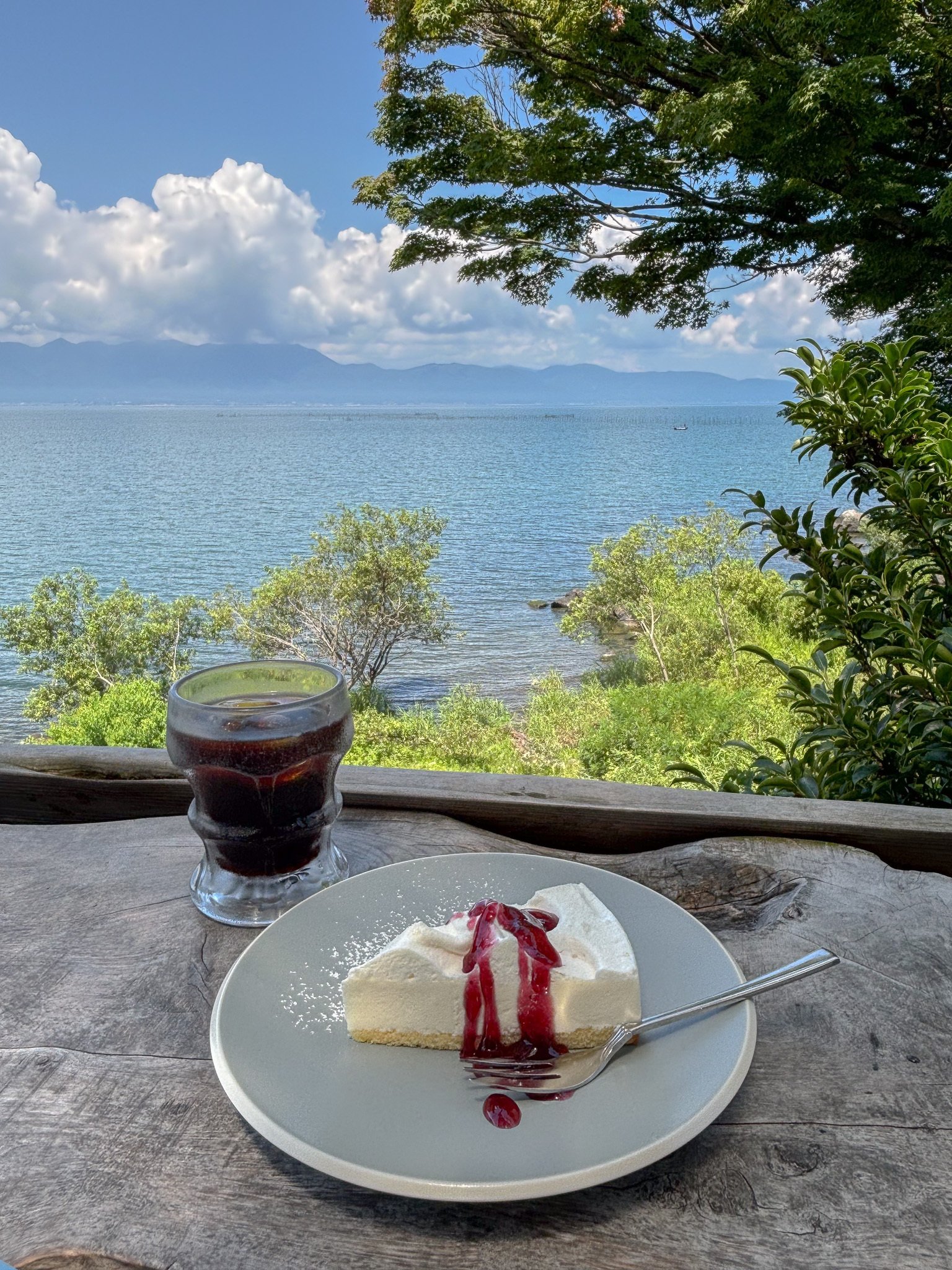 琵琶湖さん様 夏の琵琶湖があまりにも「夏」だった｜misaki｜散歩日和 3/1(日) ZINE