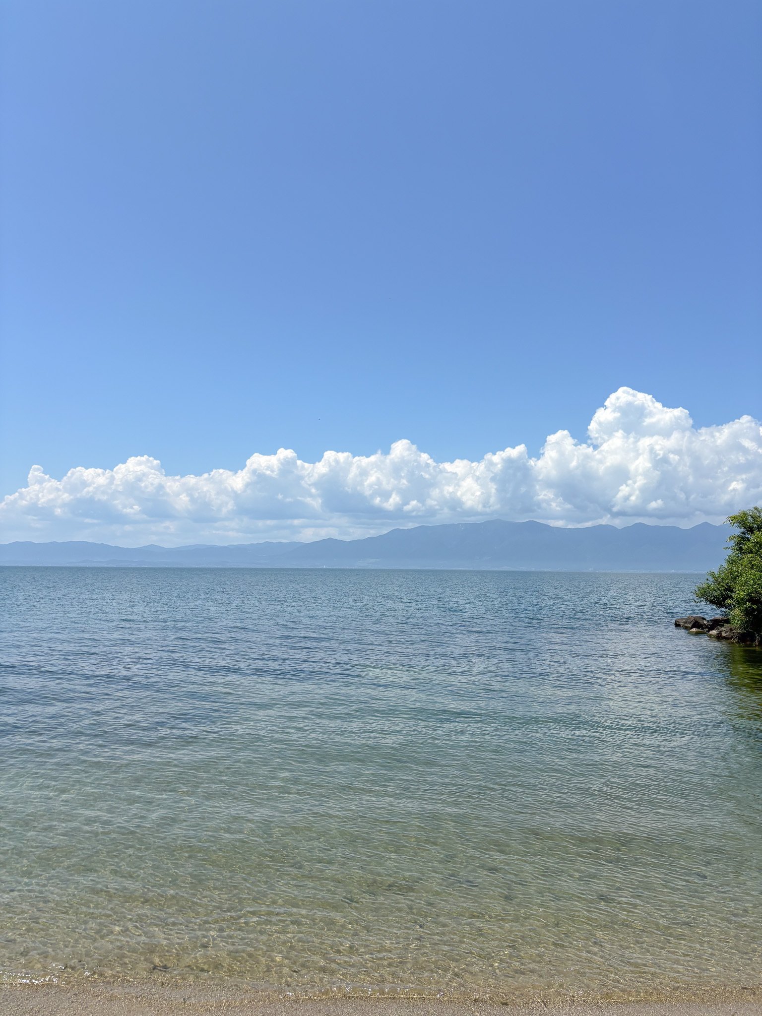 夏の琵琶湖があまりにも「夏」だった｜misaki｜散歩日和 3/1(日) ZINE
