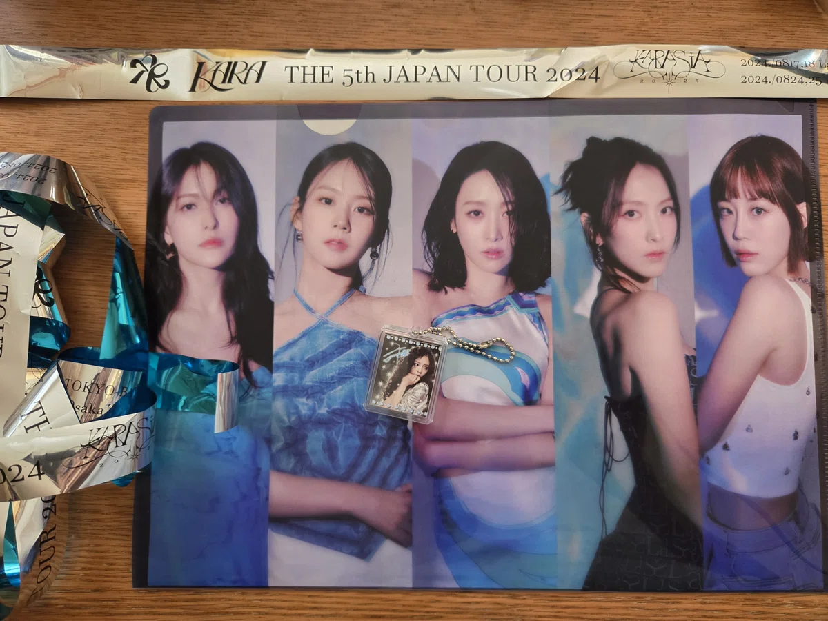 K-pop KARA クリアファイルセット 高めよ