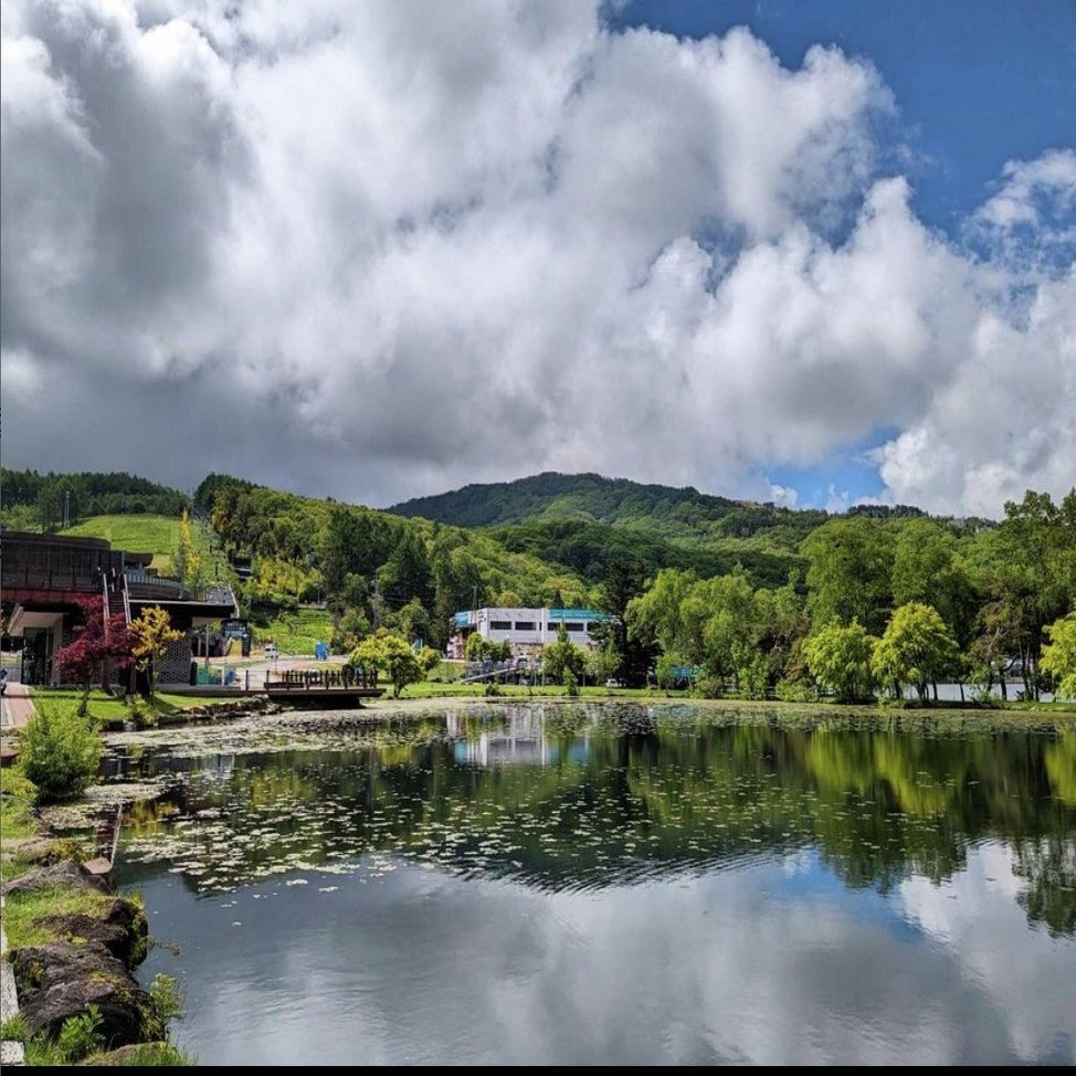 リゾート滞在を支える心強い移動手段】池の平ホテルをウィルで満喫したご家族の体験記｜WHILL community／ウィルコミュニティ