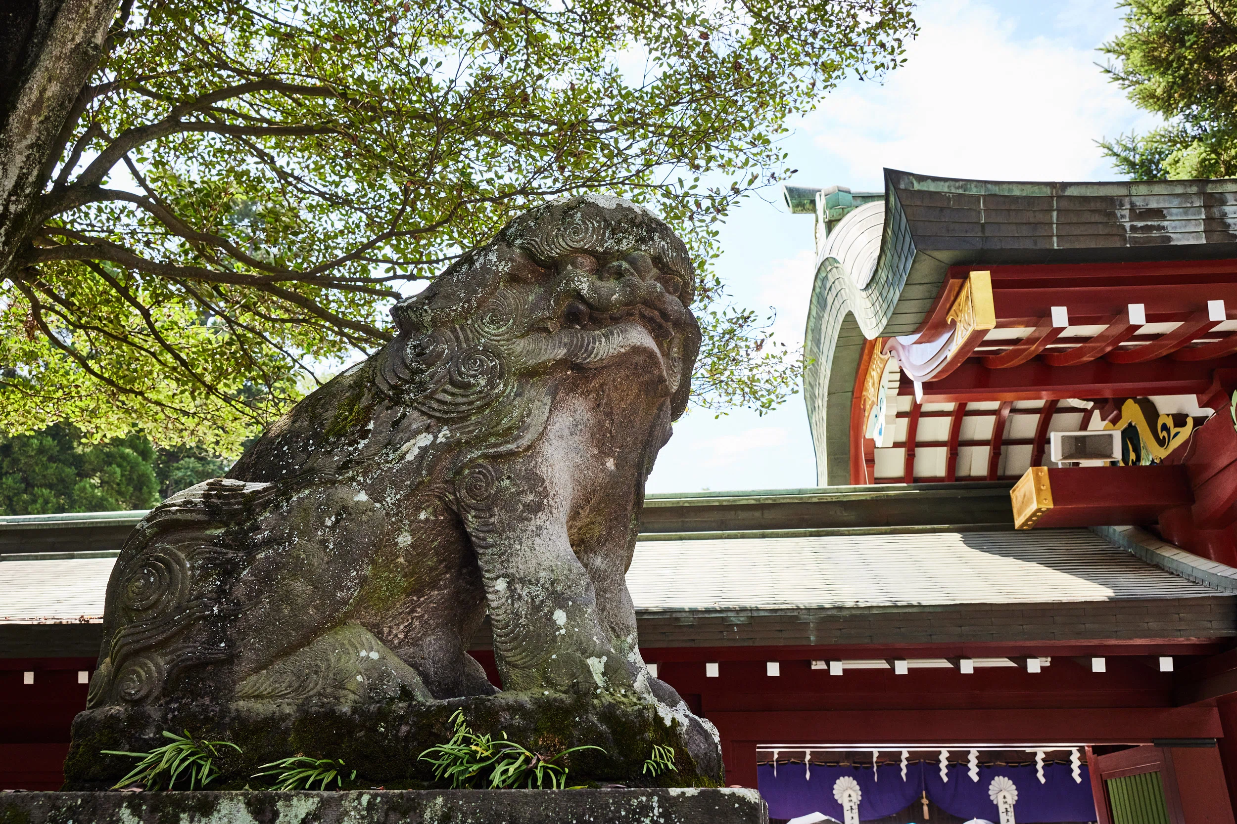 Vol.4 地域の人と共に1900年余、大國魂神社と季節の祭り。｜TAMA