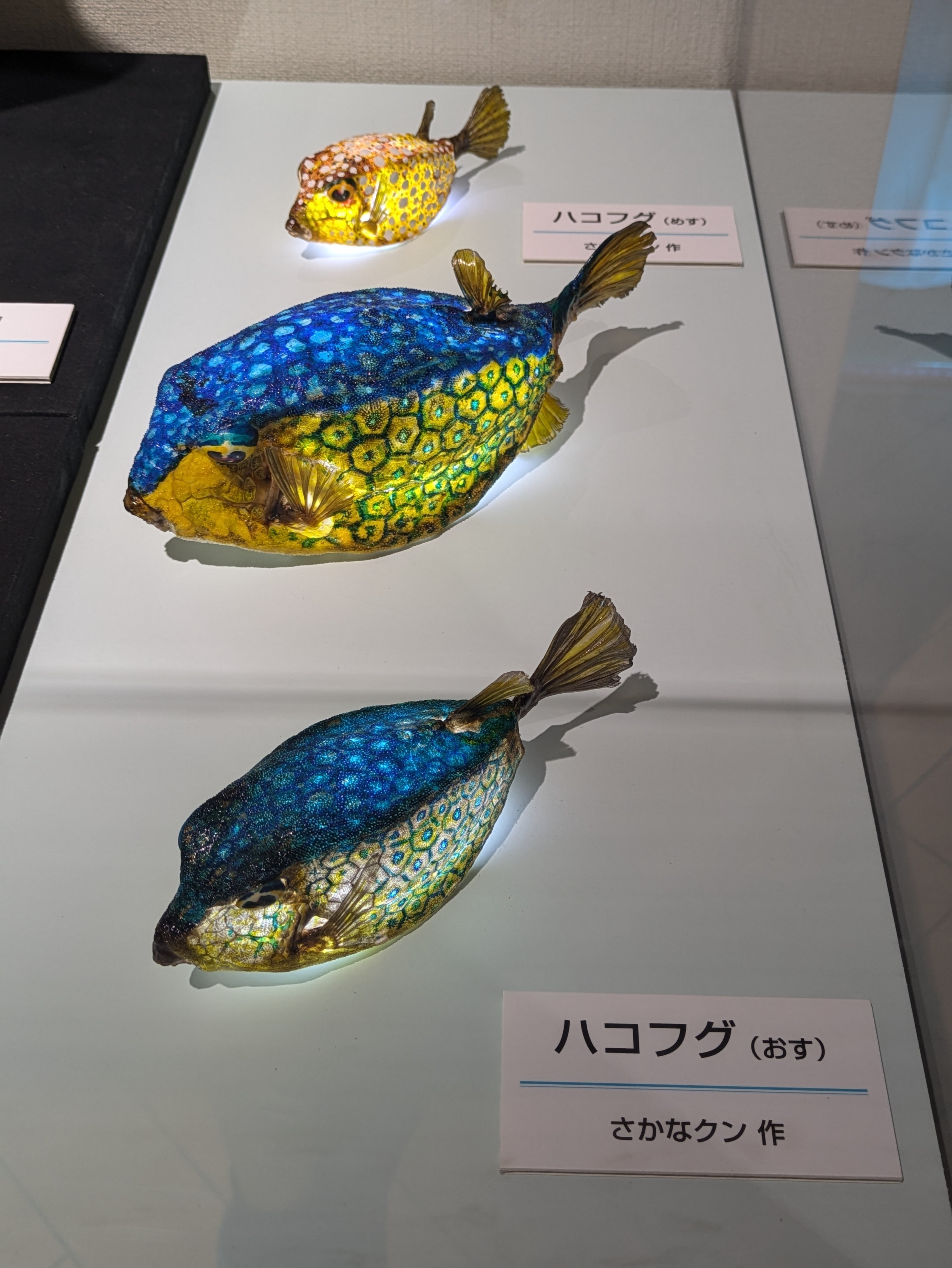 推し（さかなクン）に会いに行く。「ギョギョッとサカナ☆スター展～お