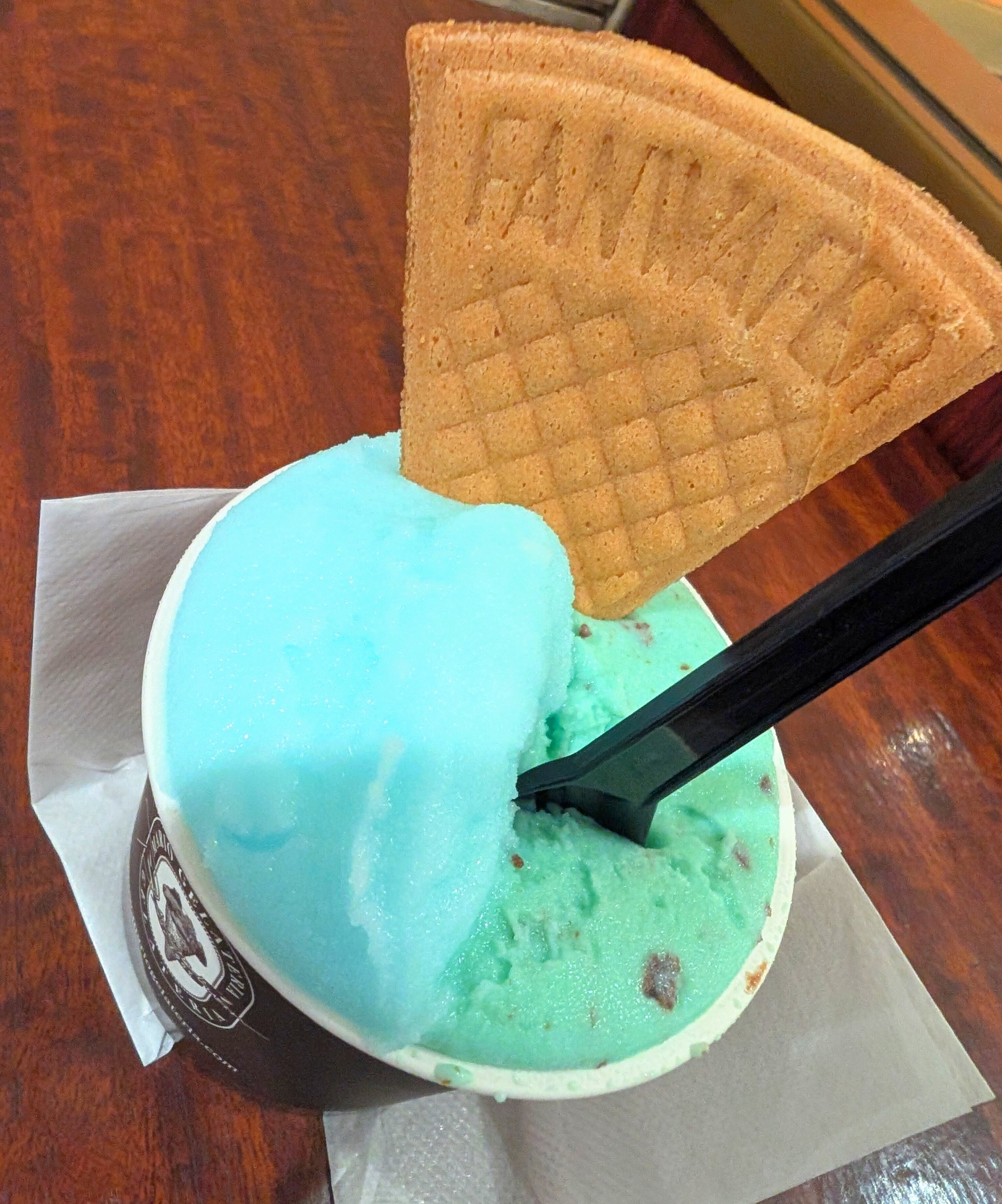 まいにちチョコミント ヒビノオト2024.8.19｜オオシマイズミ