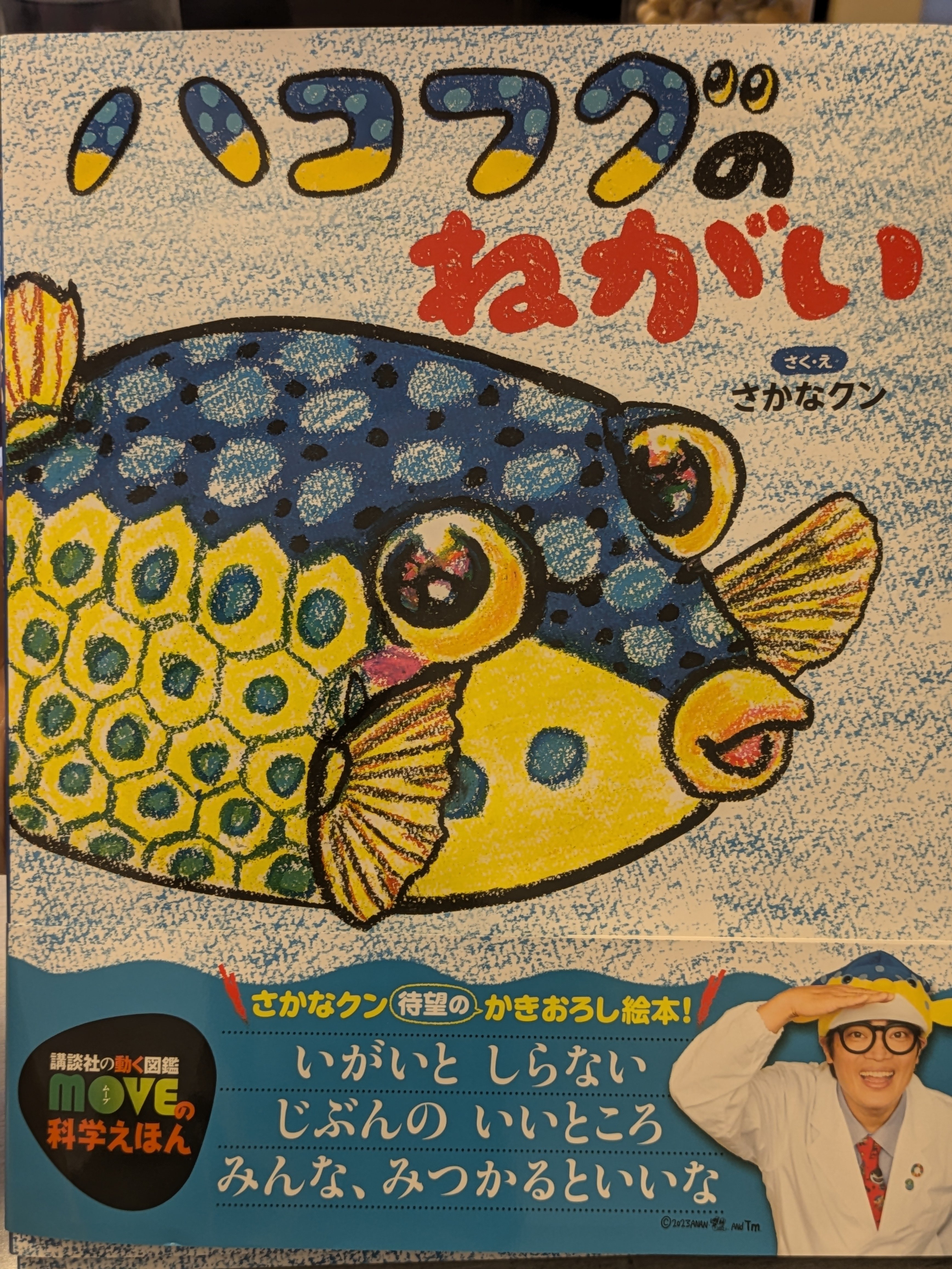 さかなクン「気球にのって」版画【希少】 Yahoo!オークション - さかなクン『さかなクン気球にのって』版画 直