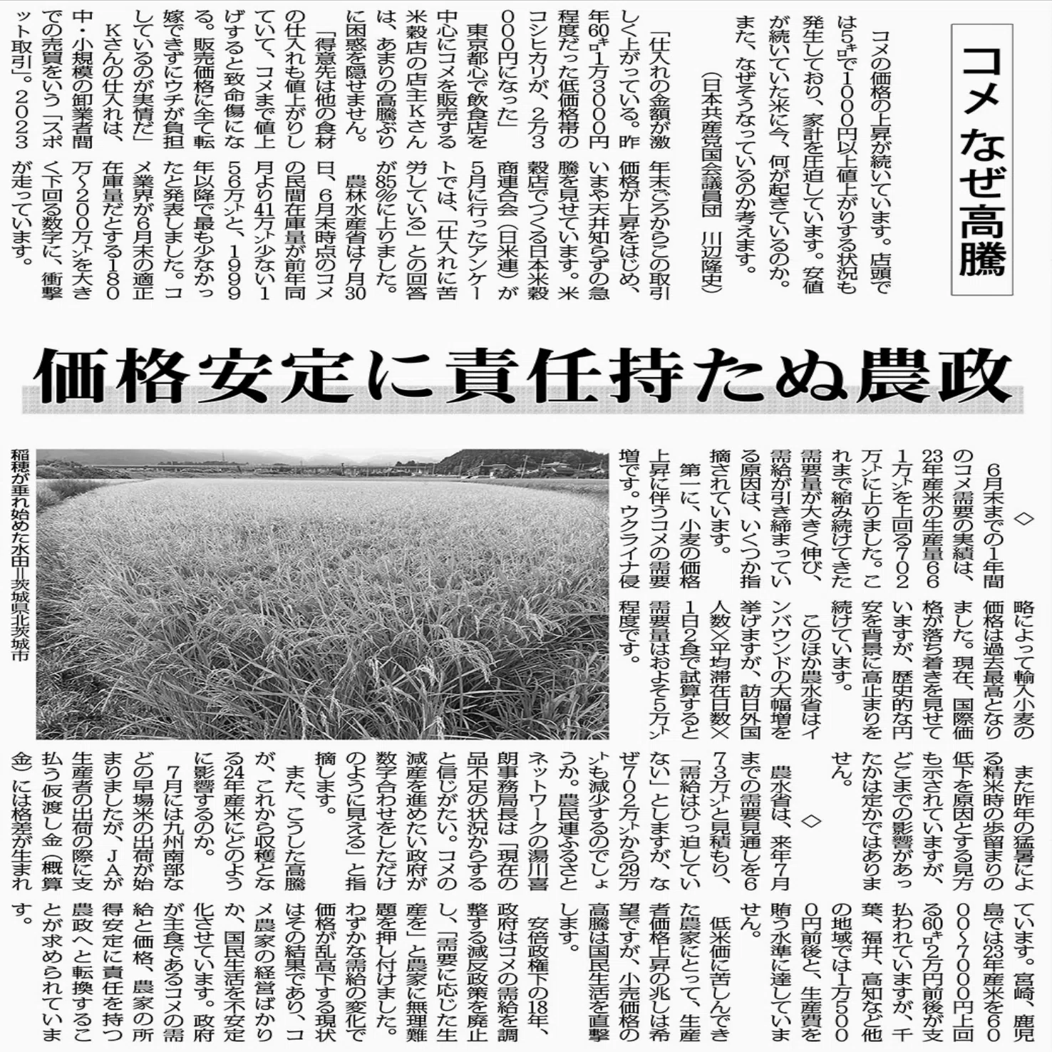コメ なぜ高騰価格安定に責任持たぬ農政〜すべてがNになる〜｜osugi3y 