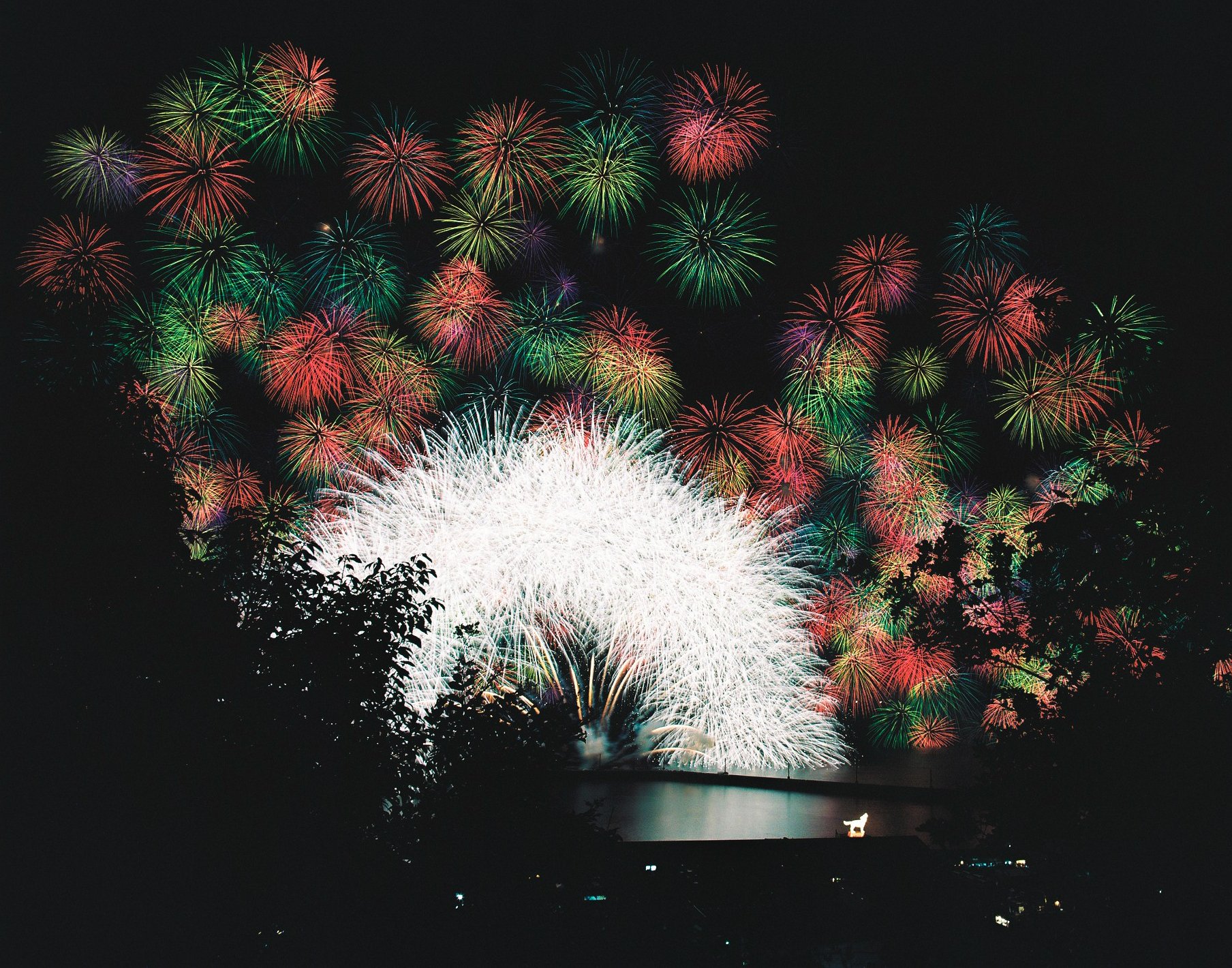 保存版】フィルム写真花火マスターになるために｜Motoki Morishita