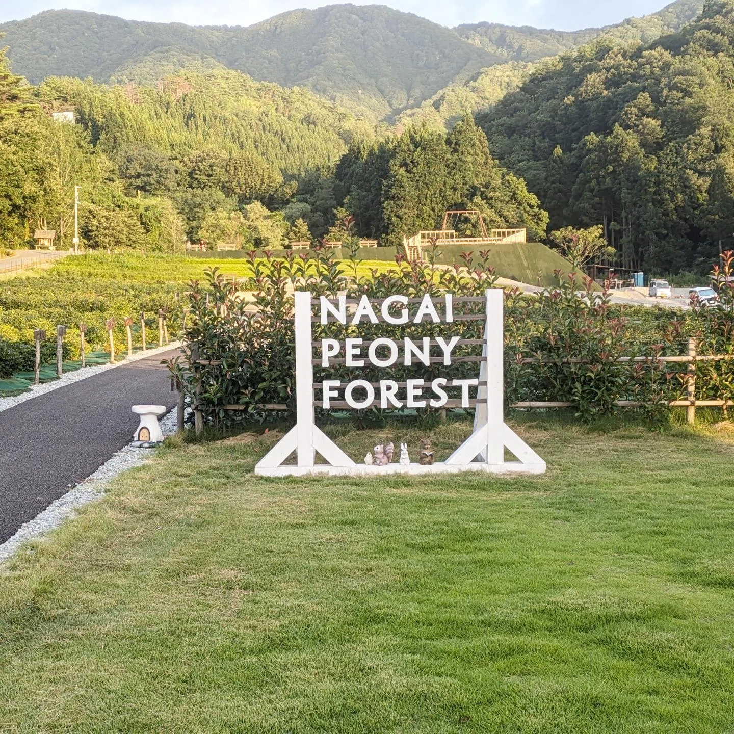【Funキャンプ19】山形県 ながいピオニーの森 |なな