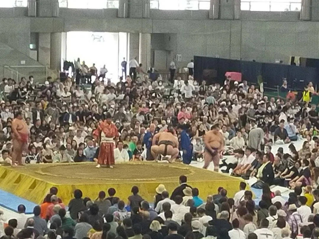 大相撲 札幌場所 2024 8/17 18 【公式通販】