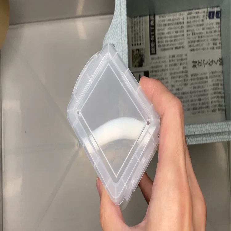 真夏のクワガタ生体発送に関する忘備録｜ヤヴカラヴォー
