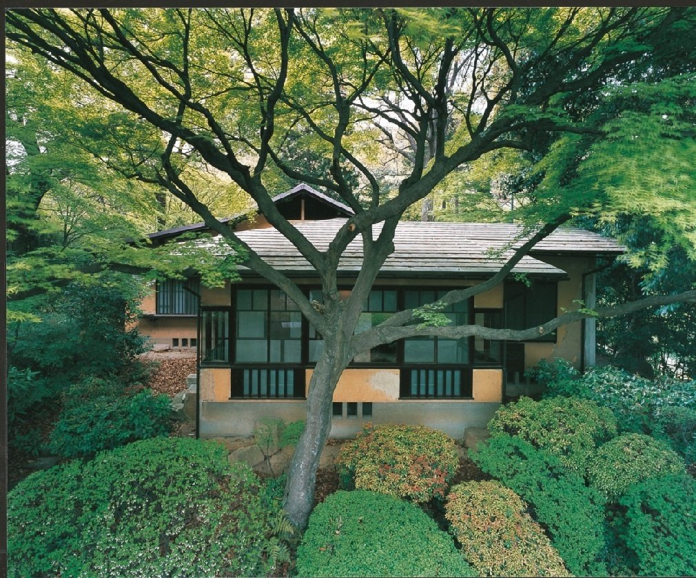 sale【ART】藤井康二真筆(マーガレットパープル)6号 sale【ART】藤井康二真筆(マーガレットパープル)6号 sale【ART】藤井