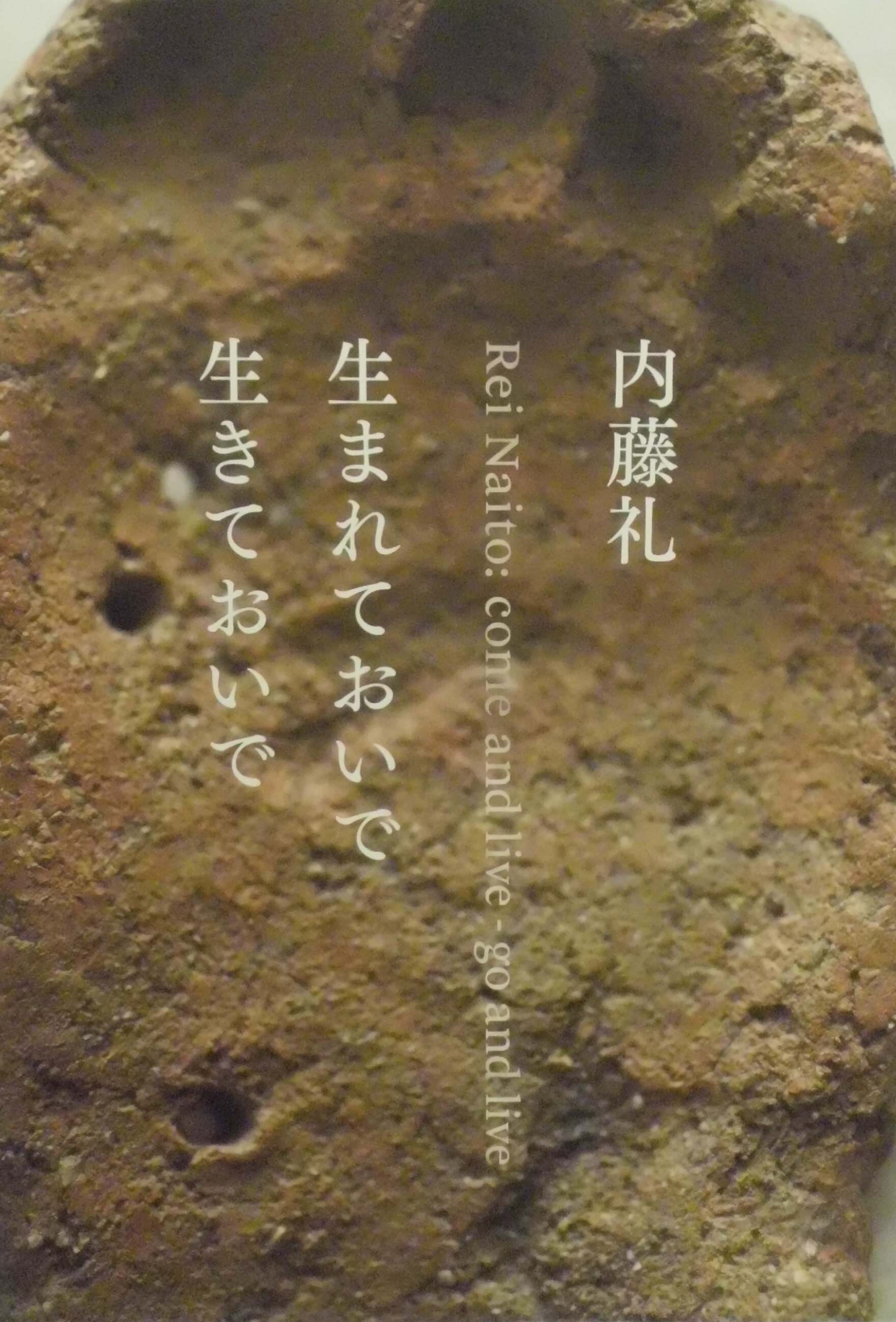 内藤礼——minima aethetica｜薄井 灌 Kan Usui