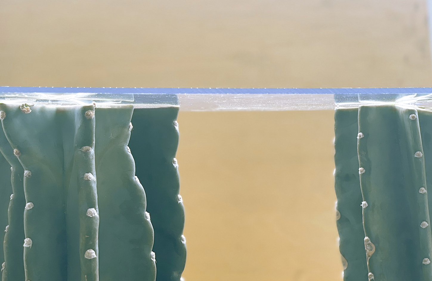 Artist Note vol.10 GROUP｜アートスクイグルヨコハマ 2024