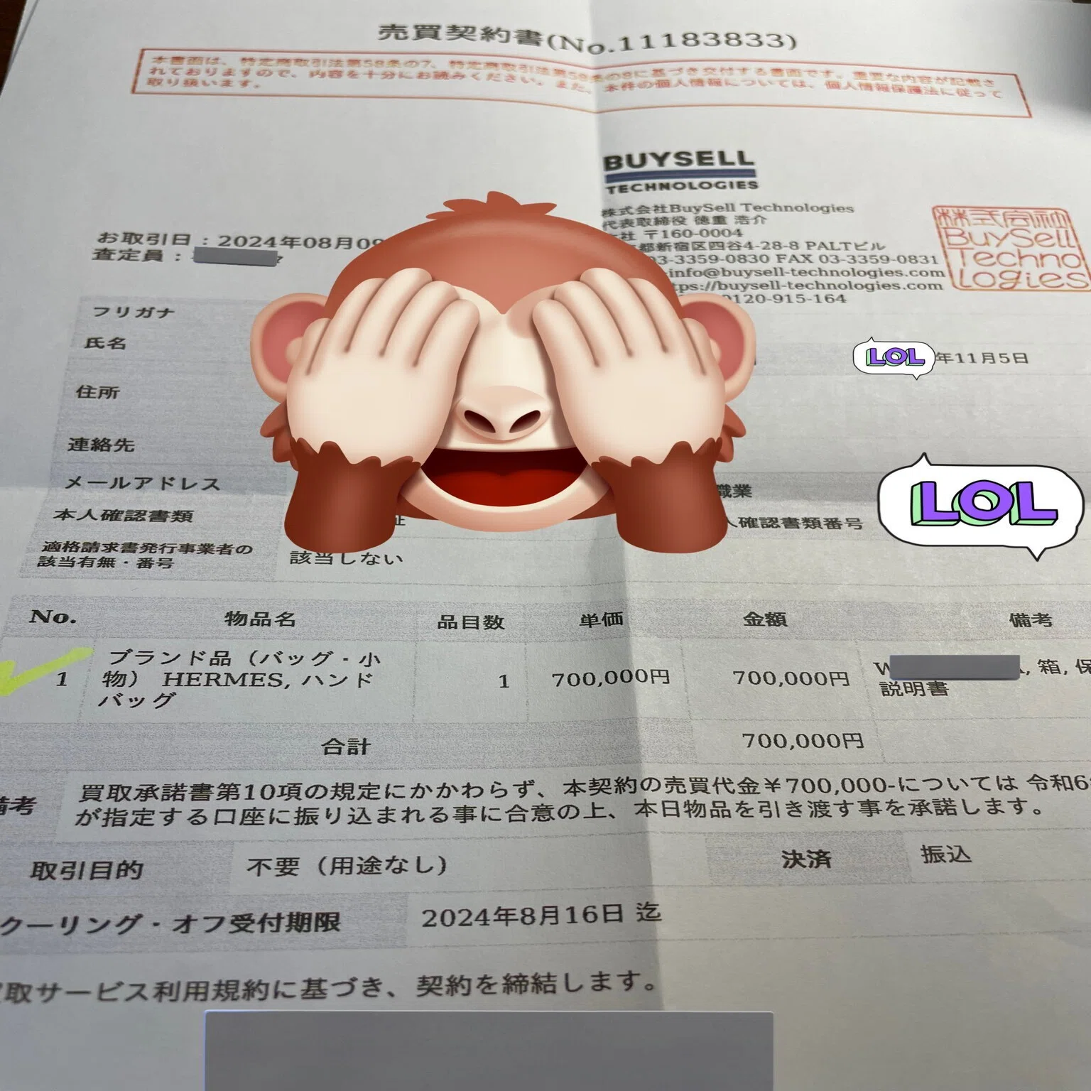 利益100万円分購入】！エルメス購入体験記｜カメちゃん＠海外買い付け 