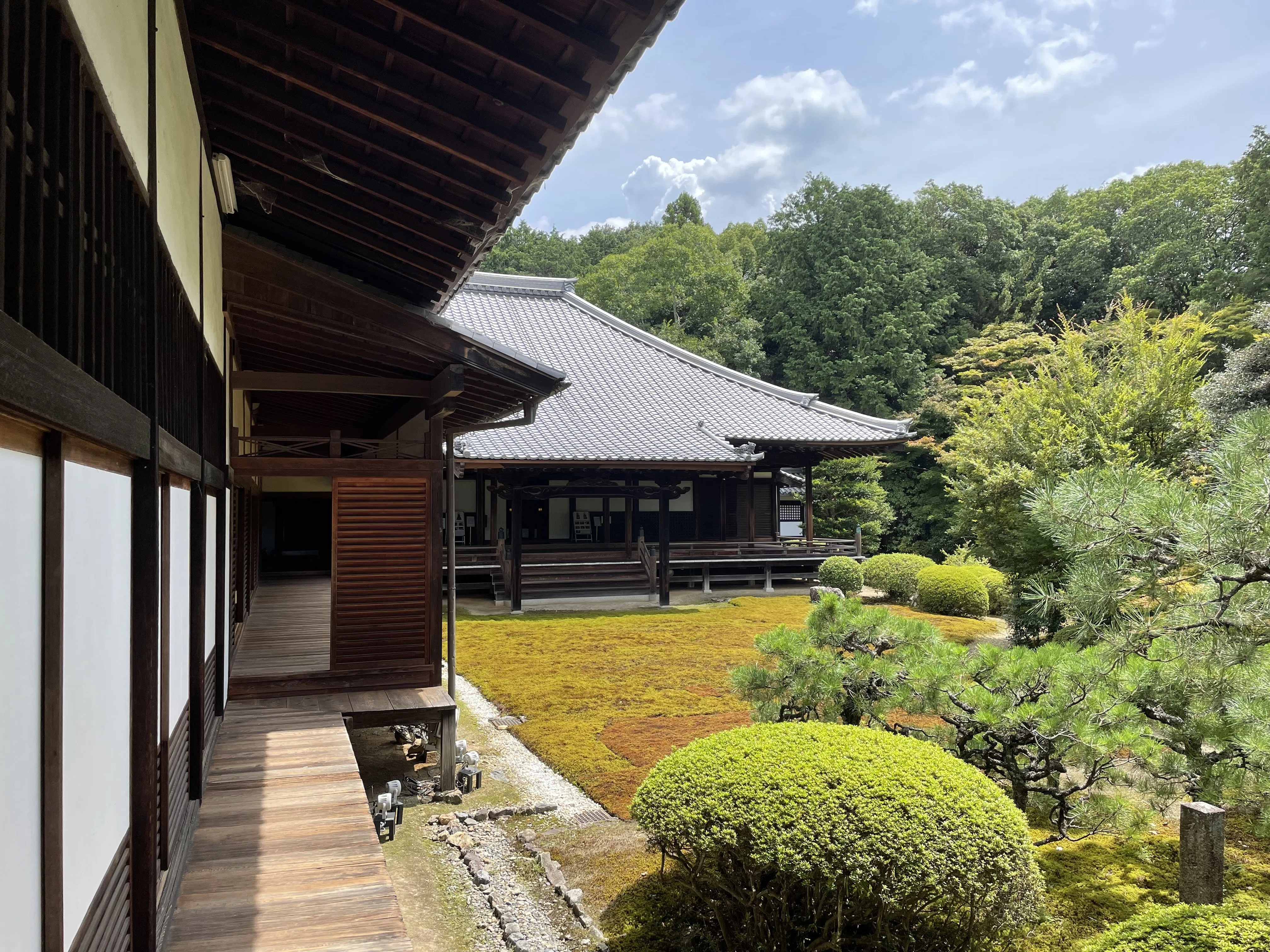 知的財産法の系譜 小野昌延先生古稀記念論文集/青林書院/小野昌延先生古稀記念論文集刊行事務局（単行本） 書籍詳細：知的財産法の系譜－小野昌延先生古稀記念論文集－ | 青林書院