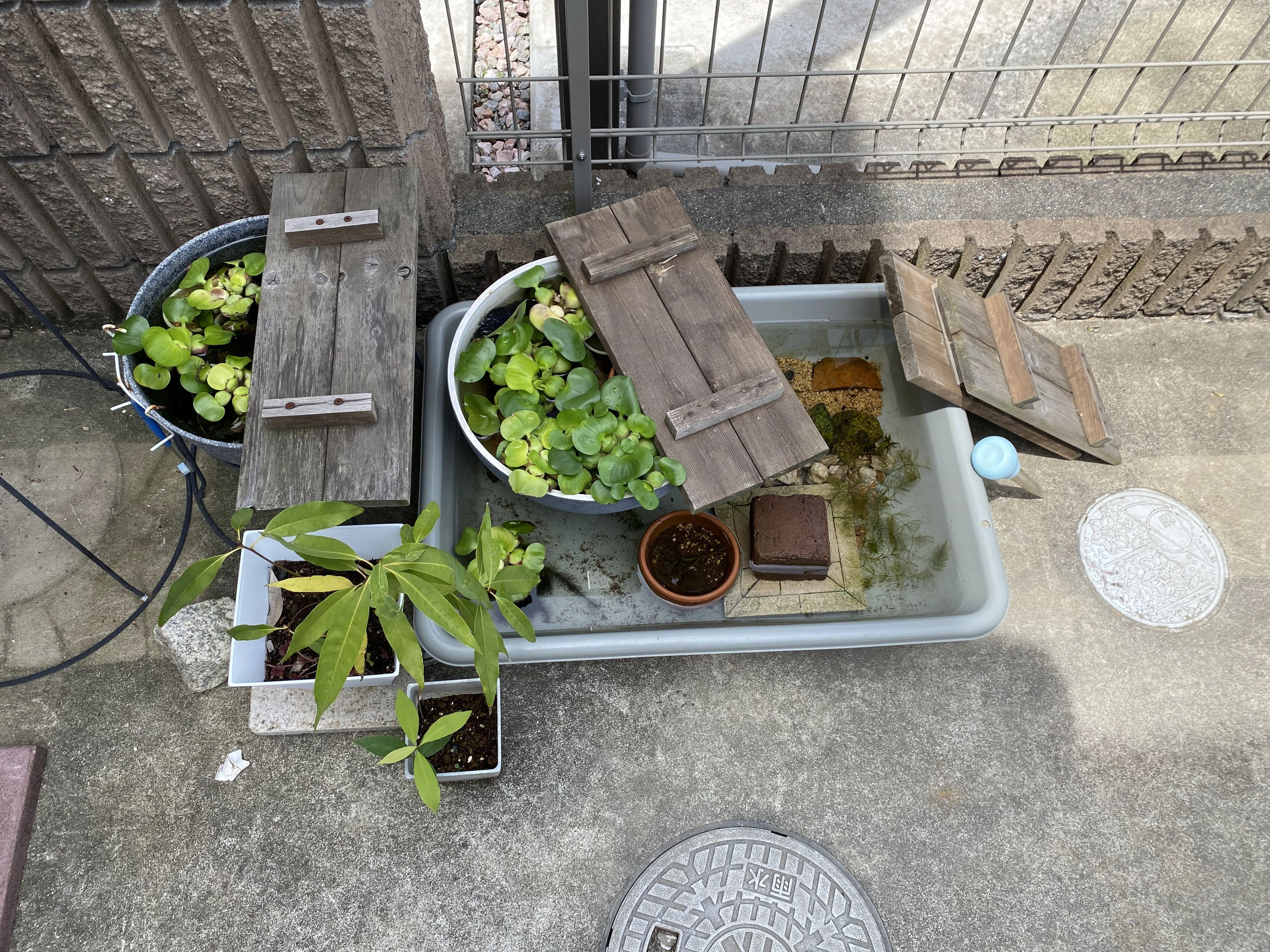 メダカ】メダカの水槽に木枠をつけました。｜Shisui281