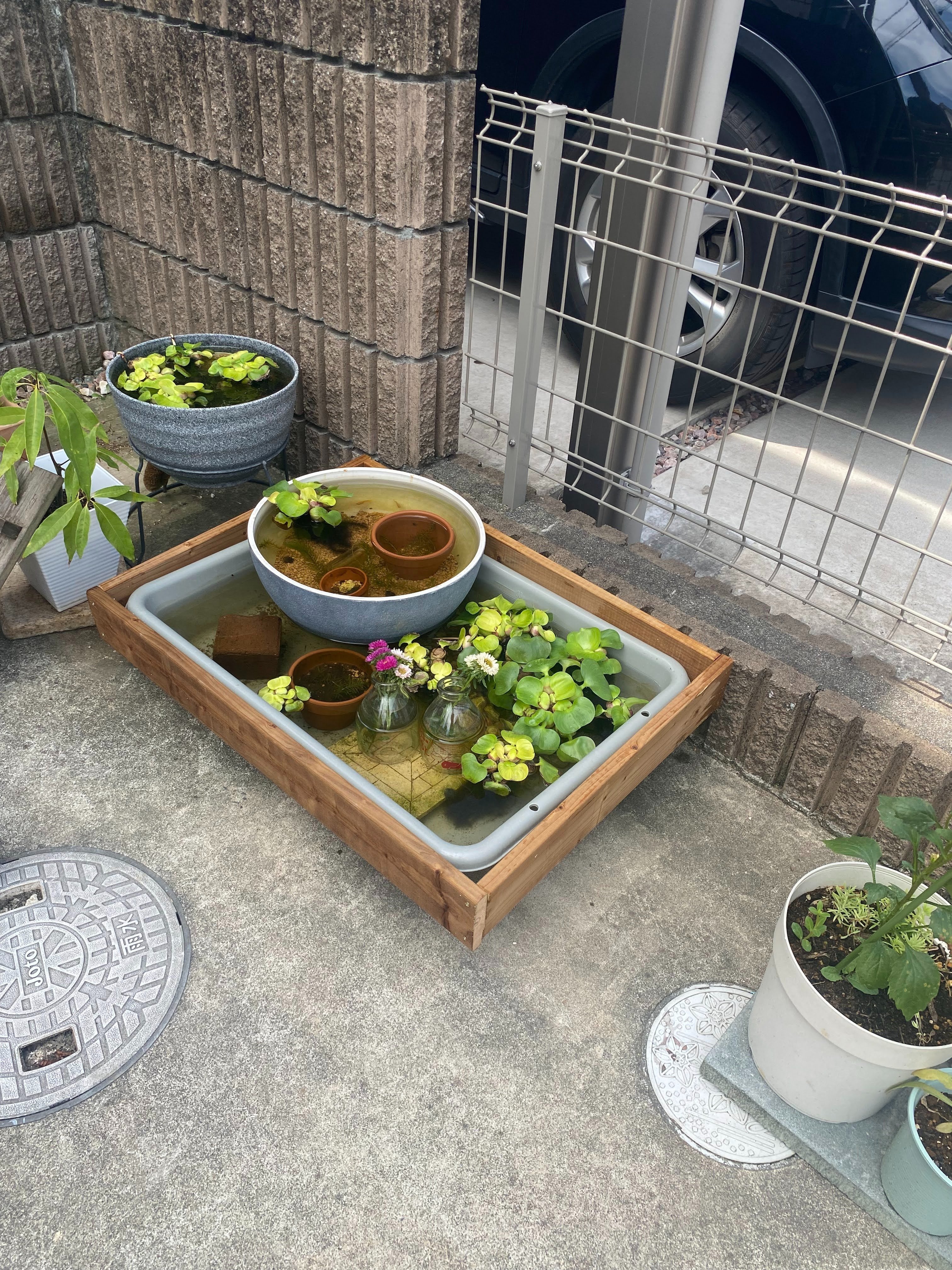 メダカ】メダカの水槽に木枠をつけました。｜Shisui281