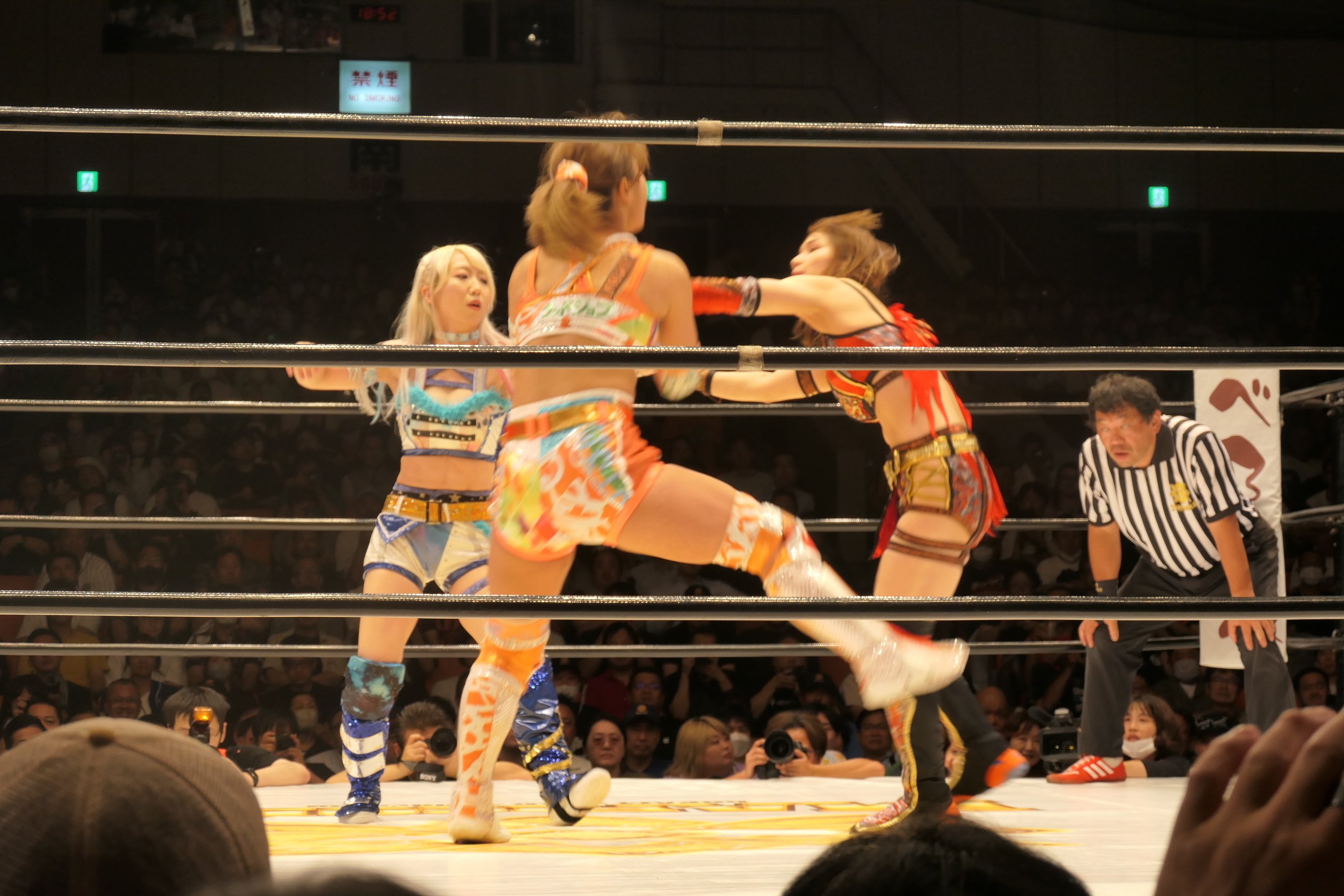 MARIGOLD SUMMER GOLD SHINE2024 8.19後楽園ホール｜ym1959