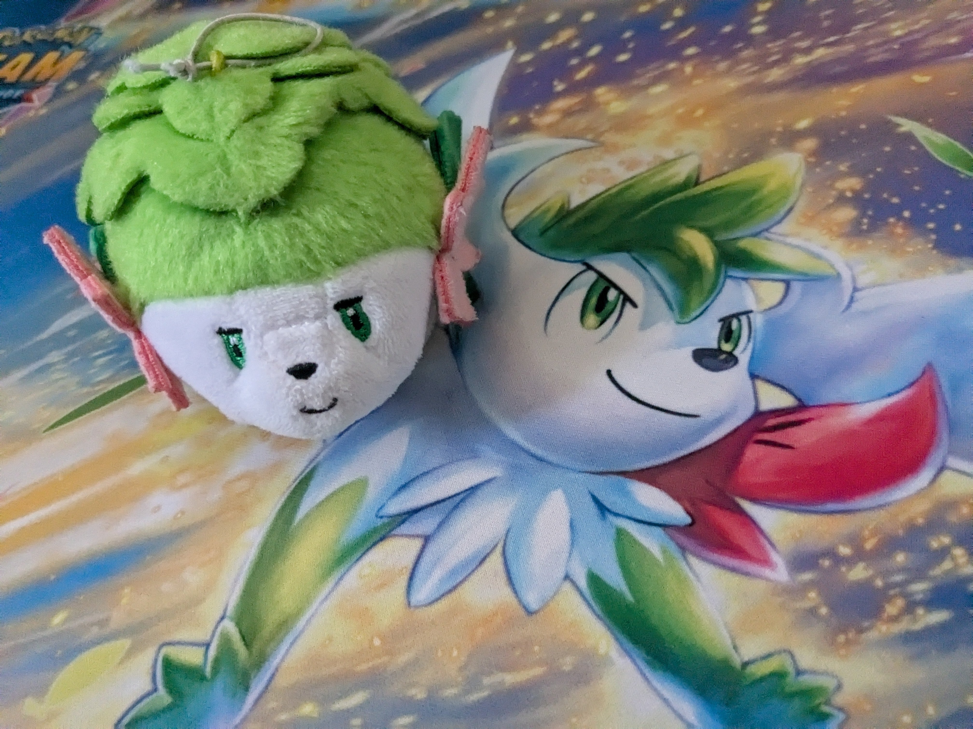 アロハシャツ ポケモンコンシェルジュ L +チャーム+ポケモンfit