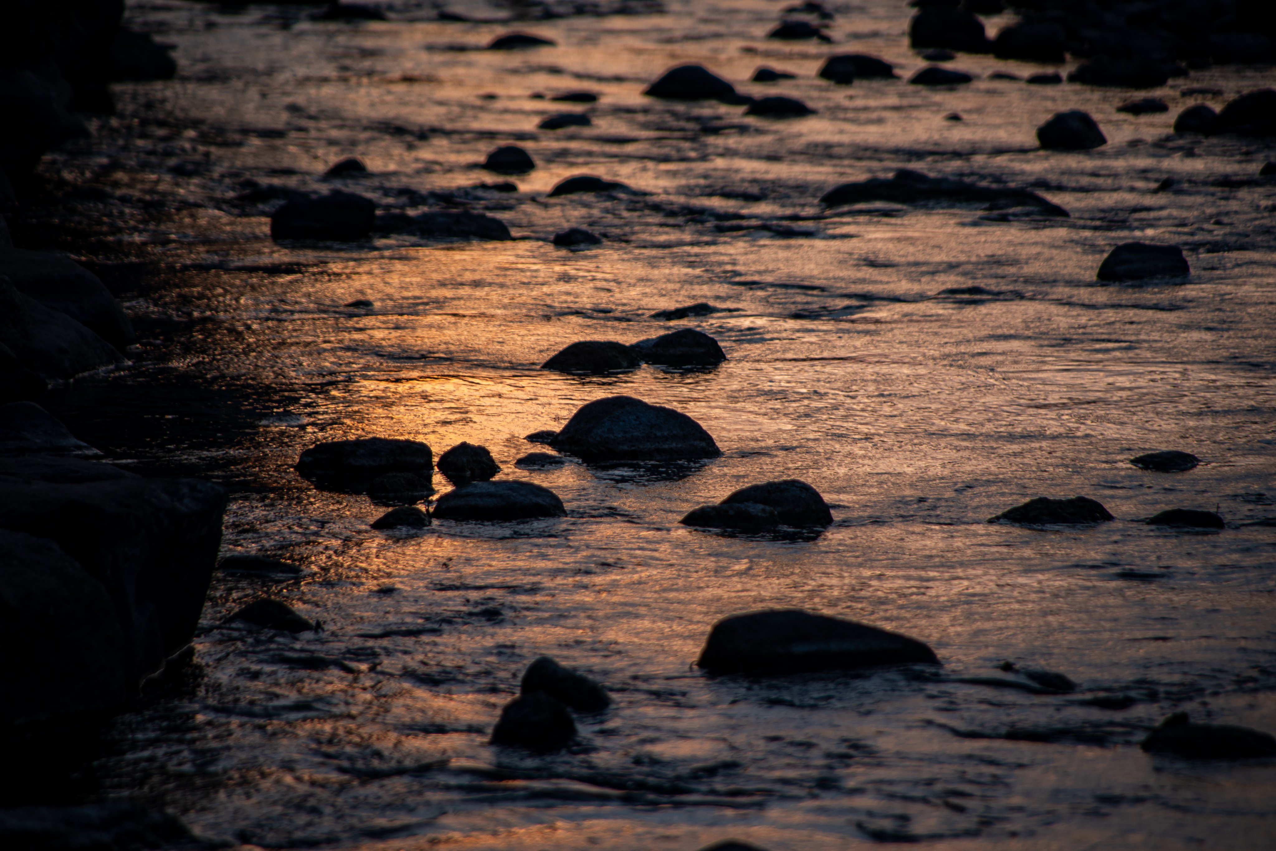 タムロンの28-300mm高倍率ズーム｜怪力熊男