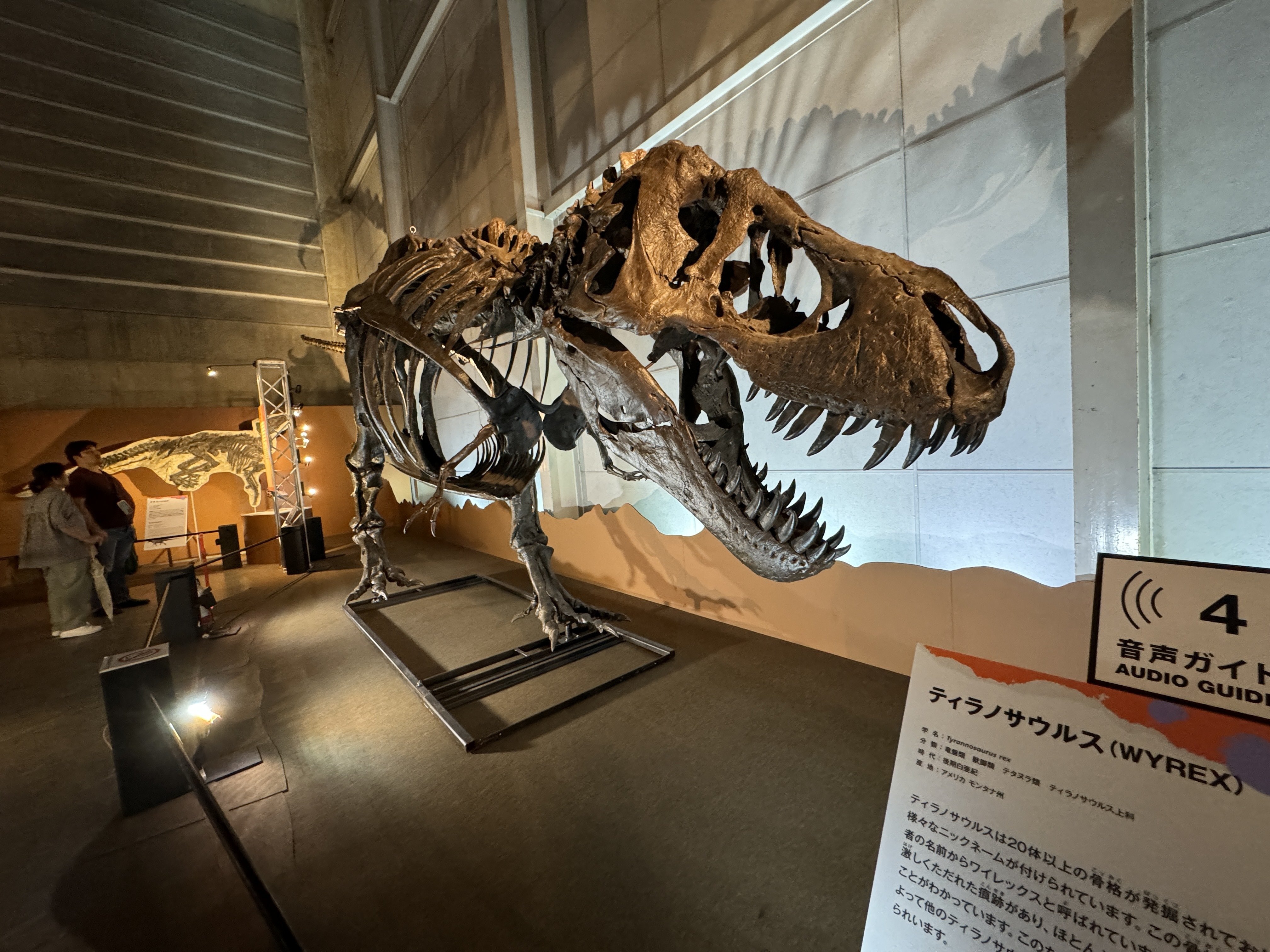 レポート】パシフィコ横浜「巨大恐竜展」全長37mの恐竜に驚愕