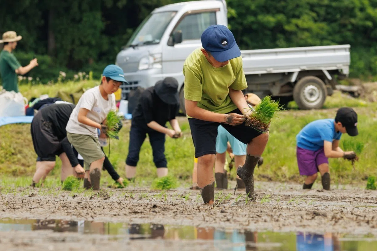 Children Making Toys from Rice Fields?! ~Rice Planting Event with ...