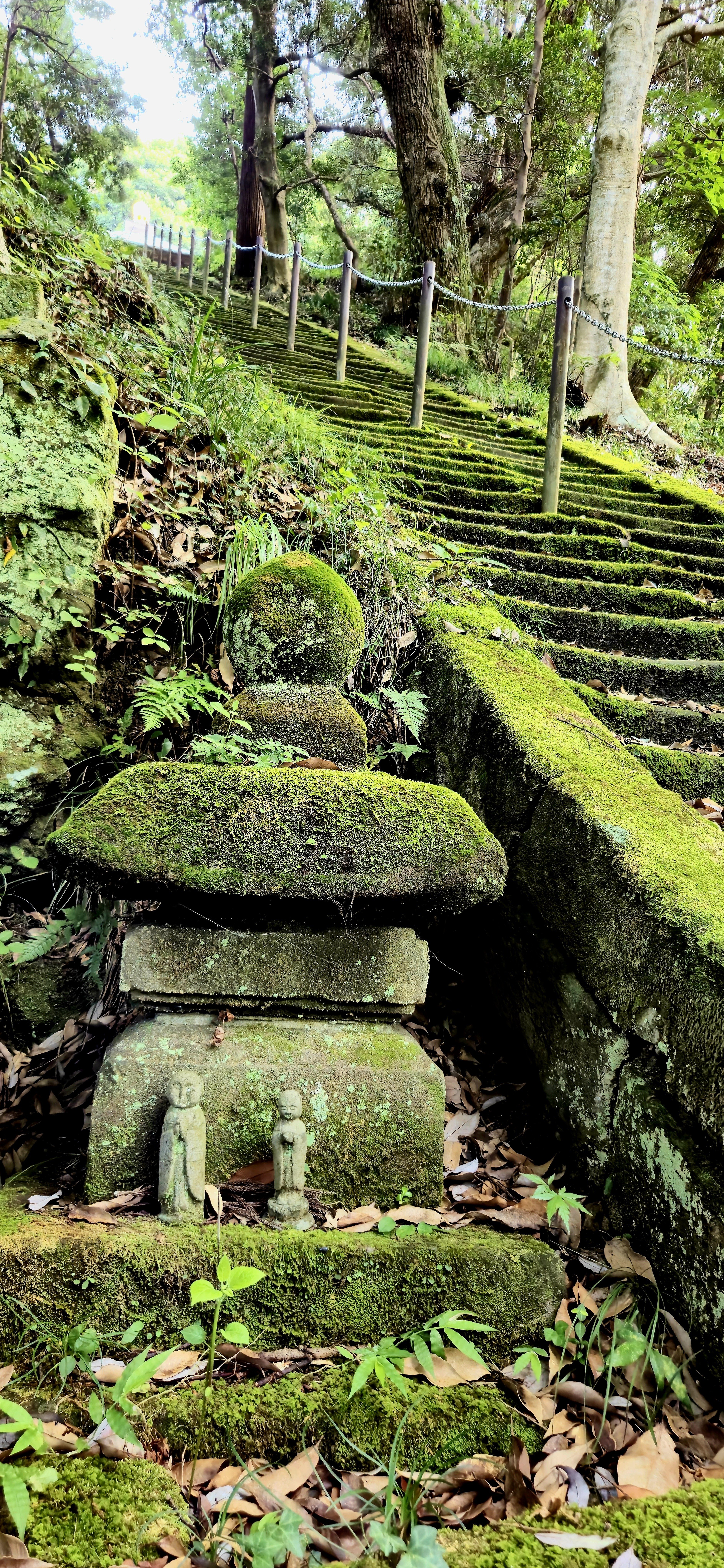 散歩〗北鎌倉駅→称名寺（今泉不動）と陰陽の滝→高野の切通し→ミヤマ