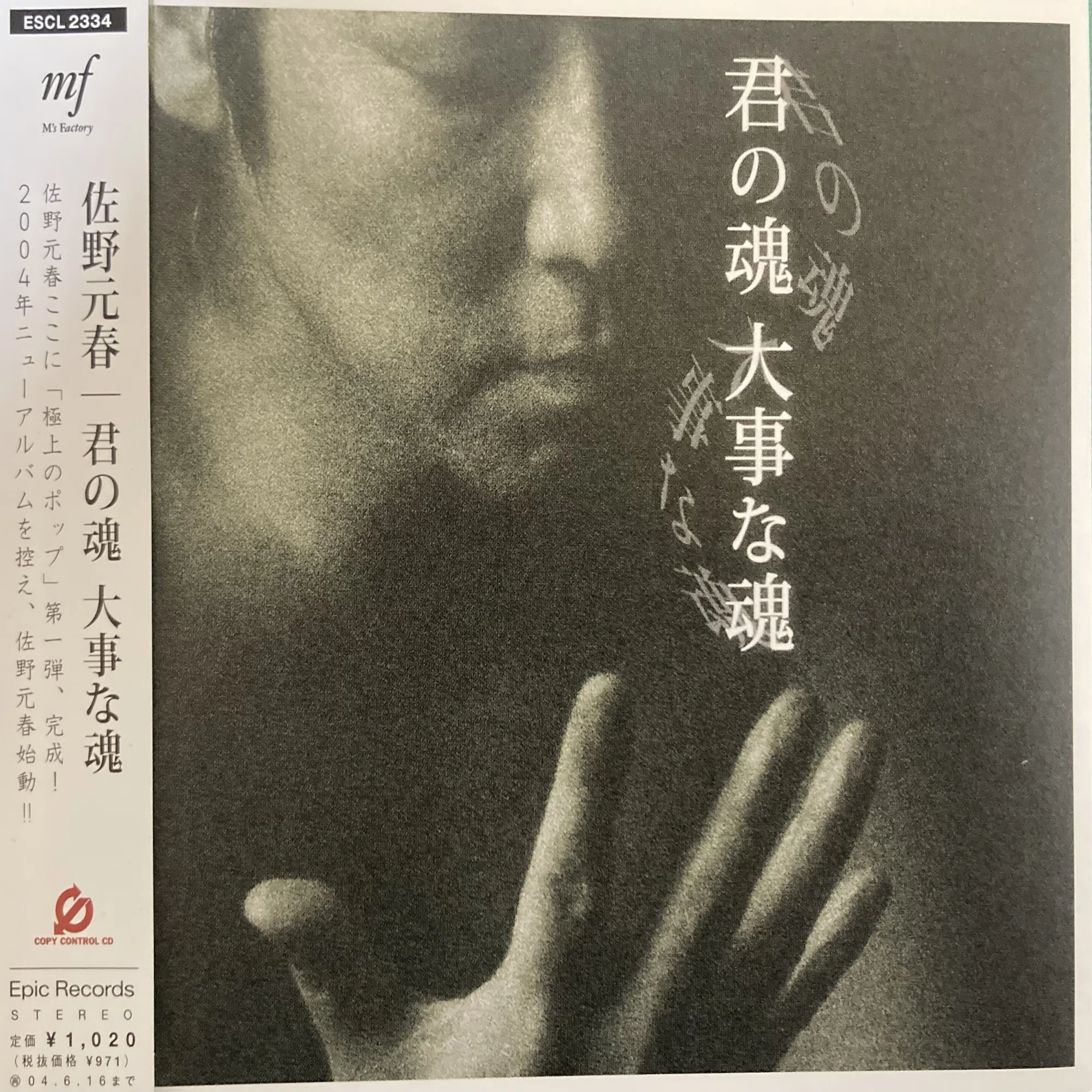佐野元春and The Hobo King Band THE SUN｜bluebeat