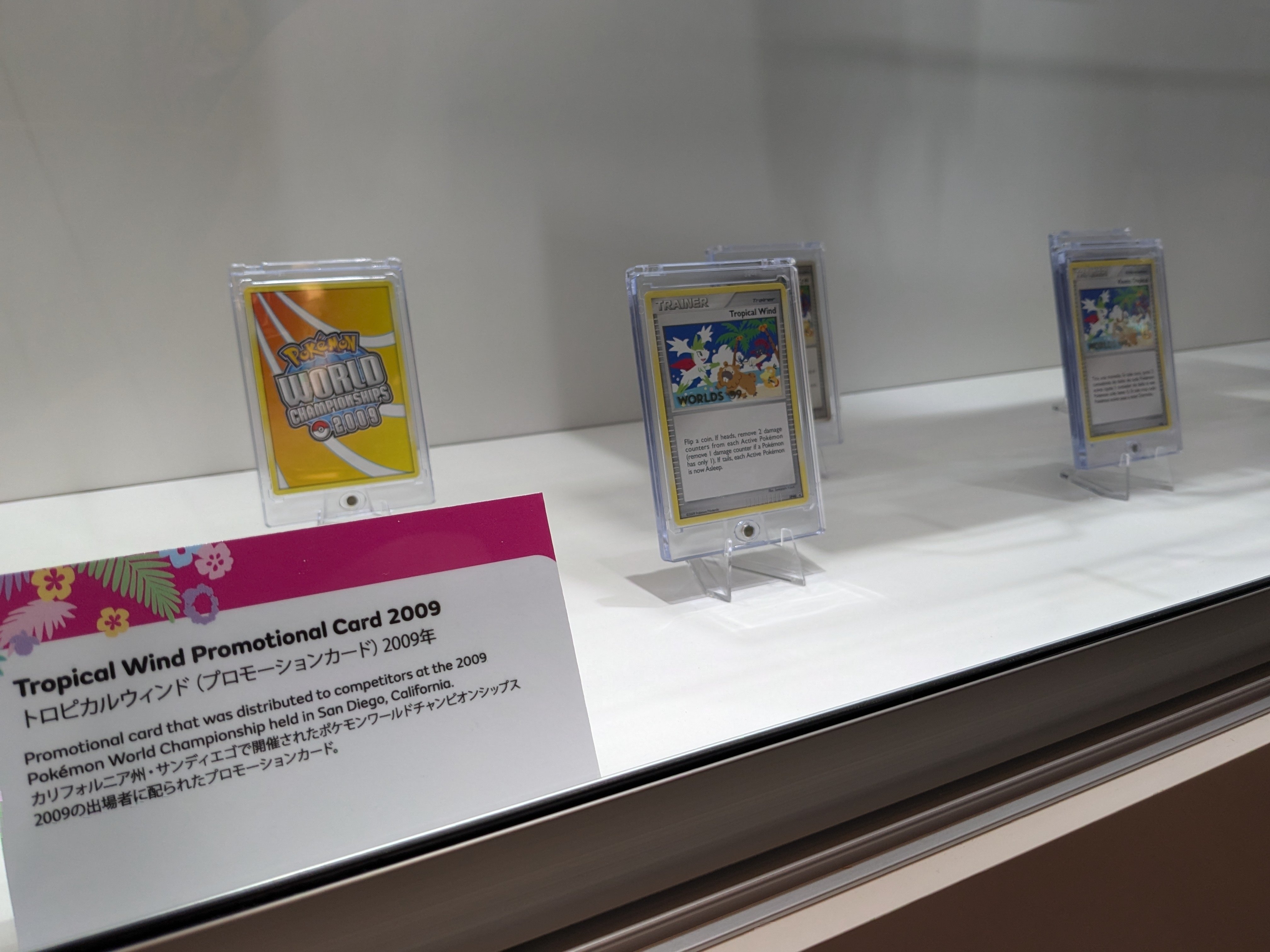 ポケモン好きがWCS2024のために初めてホノルルへ行くお話|ソイ ポケモン好きがWCS2024のために初めてホノルルへ行くお話|ソイ