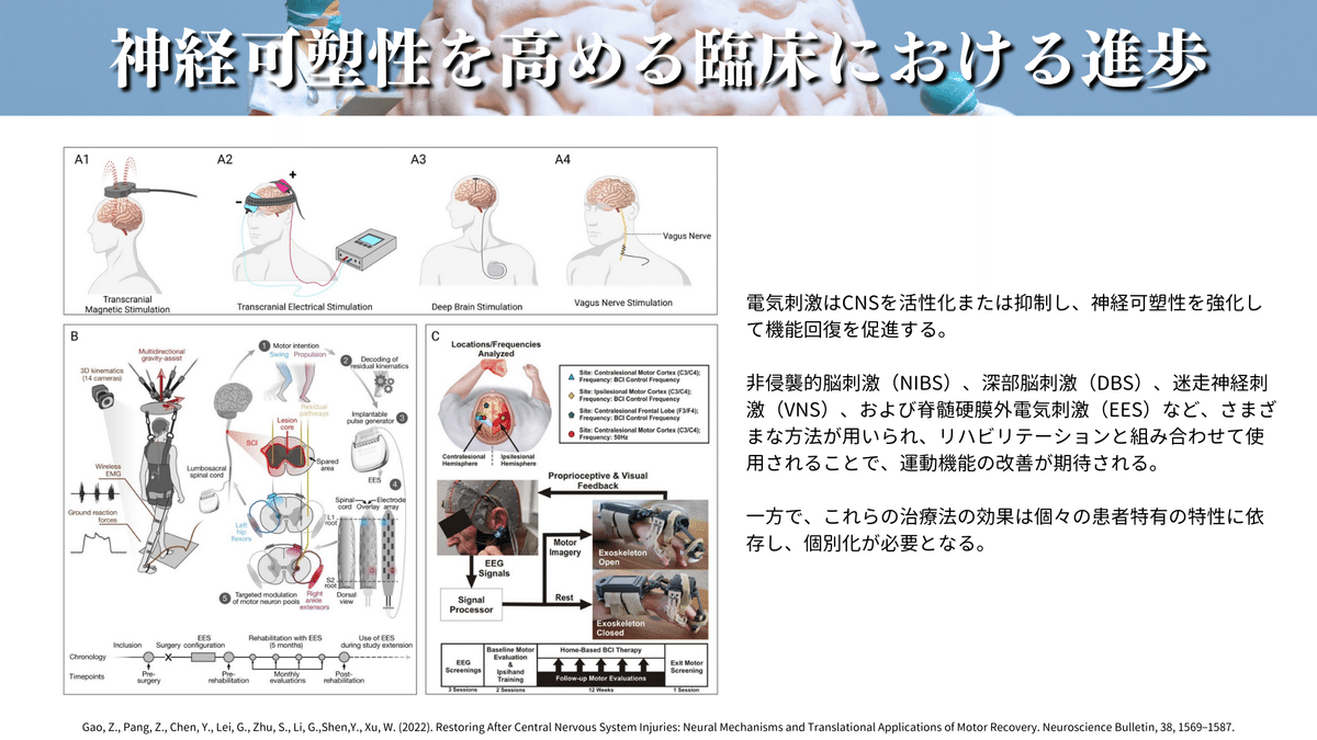 脳損傷後の機能回復: 治療・訓練の理論的根拠 脳損傷後の機能回復 : 治療・訓練の理論的根拠 - メルカリ