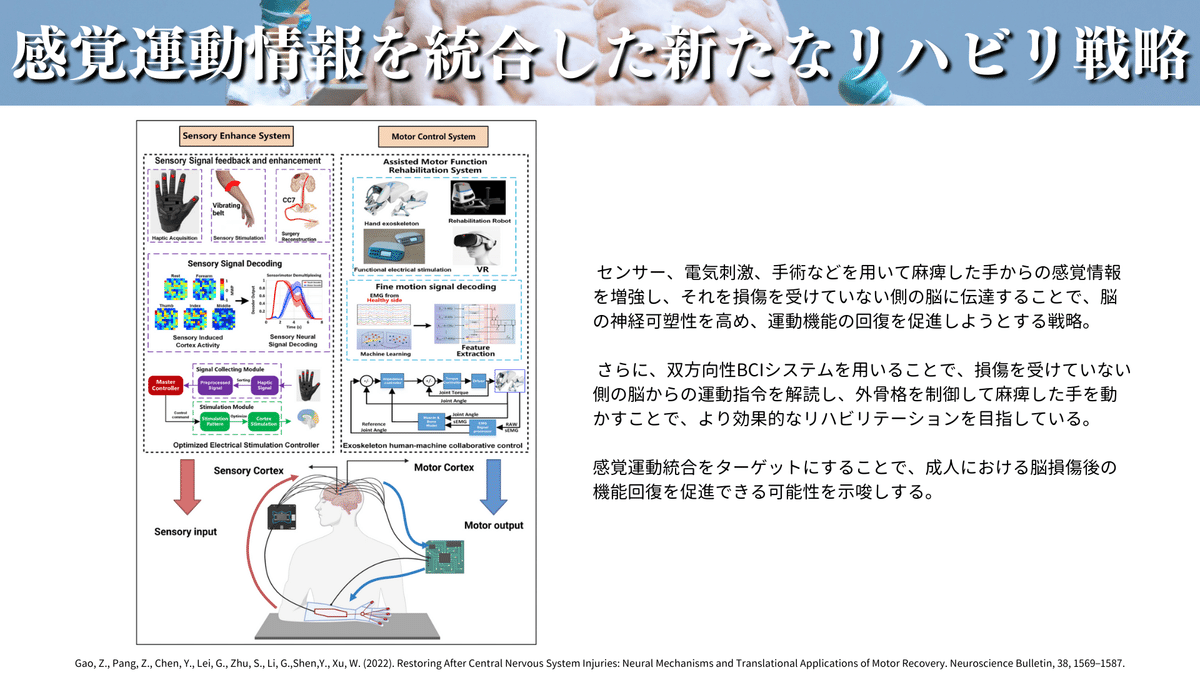 脳損傷後の機能回復: 治療・訓練の理論的根拠 脳損傷後の機能回復 : 治療・訓練の理論的根拠 - メルカリ