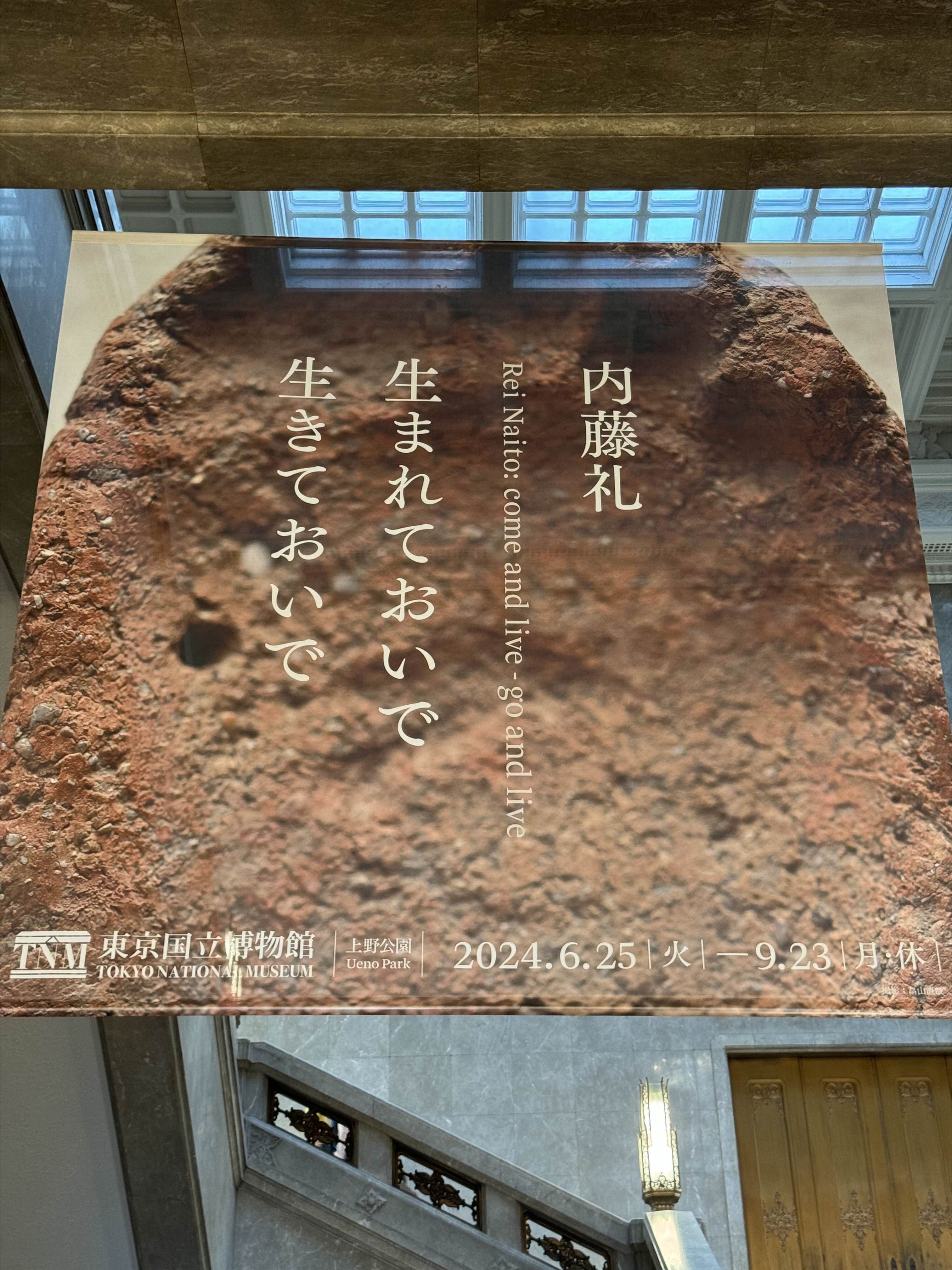 Rei Naito: Being called 内藤礼：たくさんのものが呼び出されて