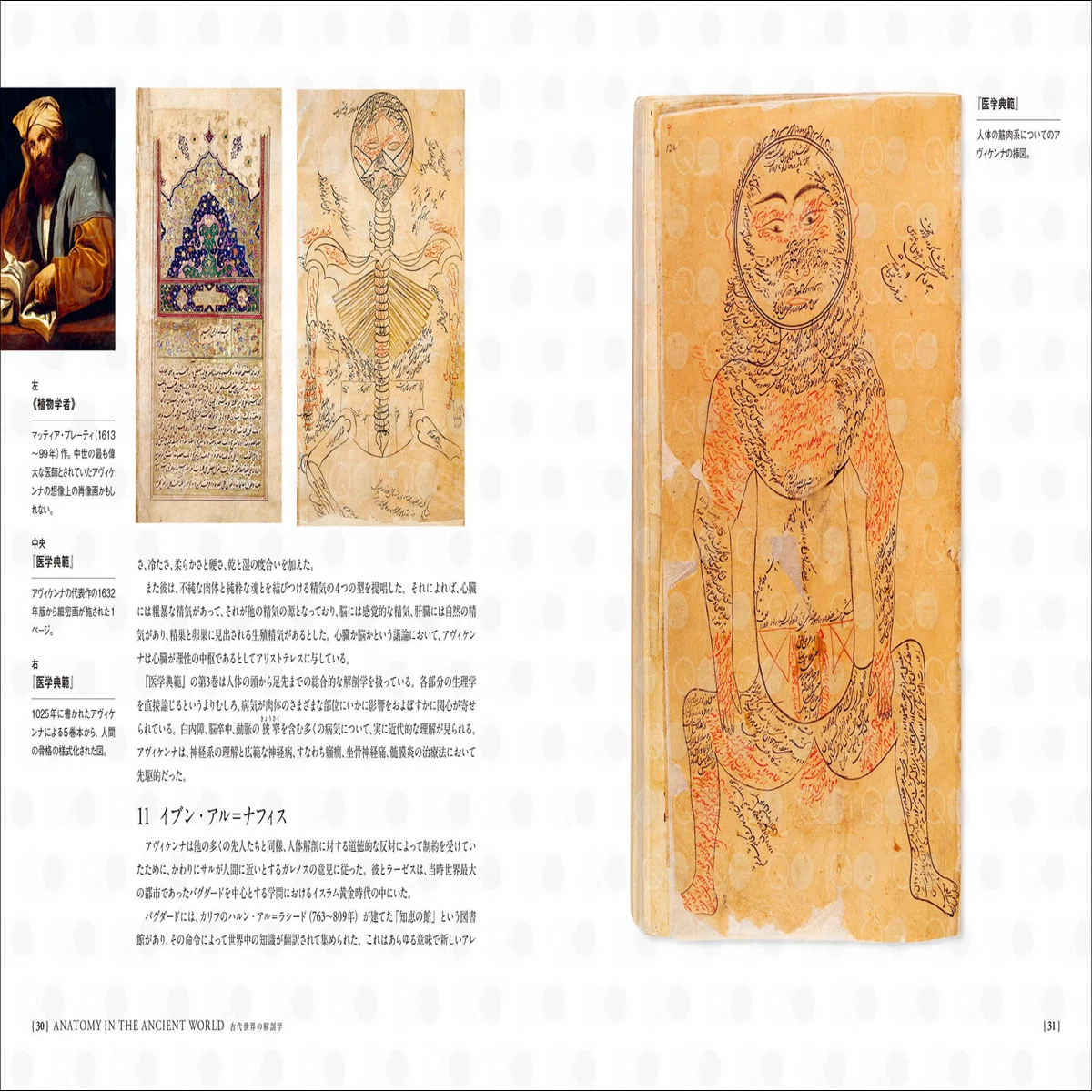 古代からの解剖学書が物語る“医学、美術、社会”の変遷『解剖学者全史