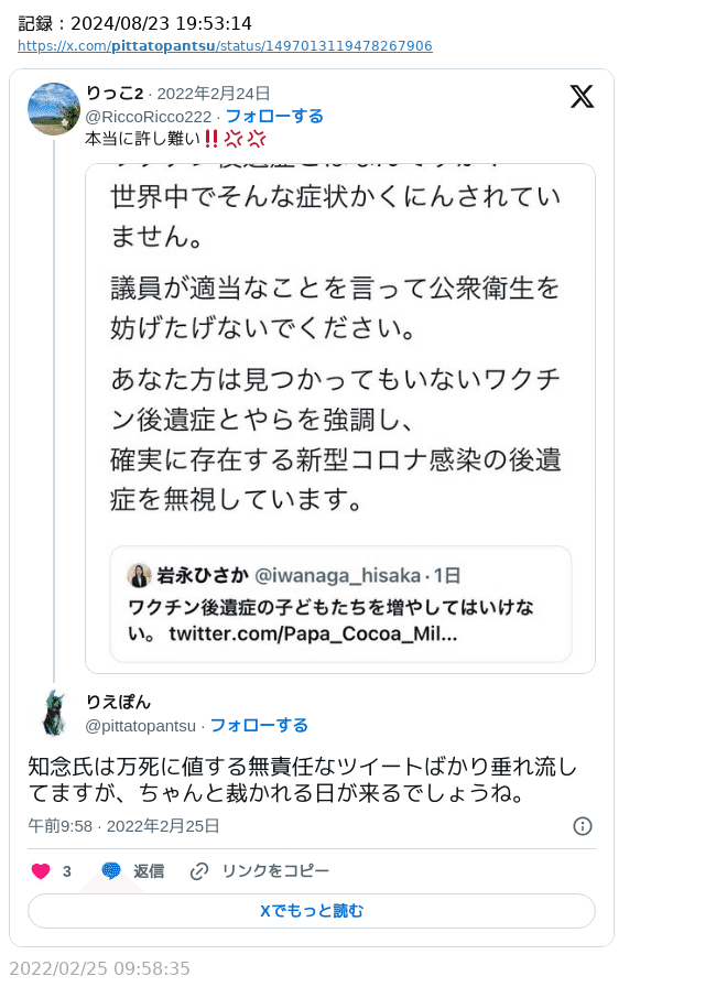 陰謀論者（30）：りえぽん｜にゃんぴー