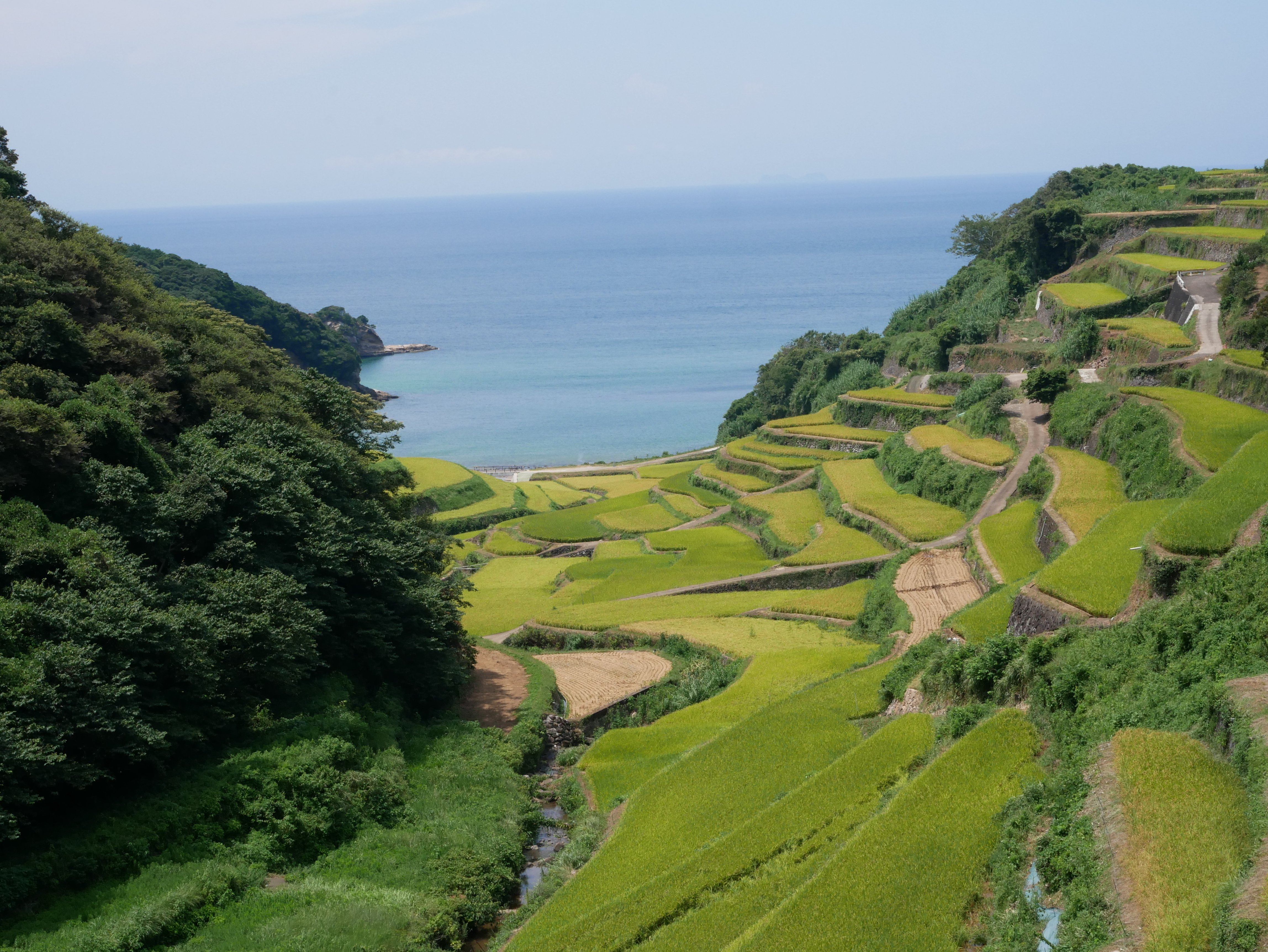 471 海が見える絶景の棚田はしご旅・浜野浦の棚田＆春日の棚田