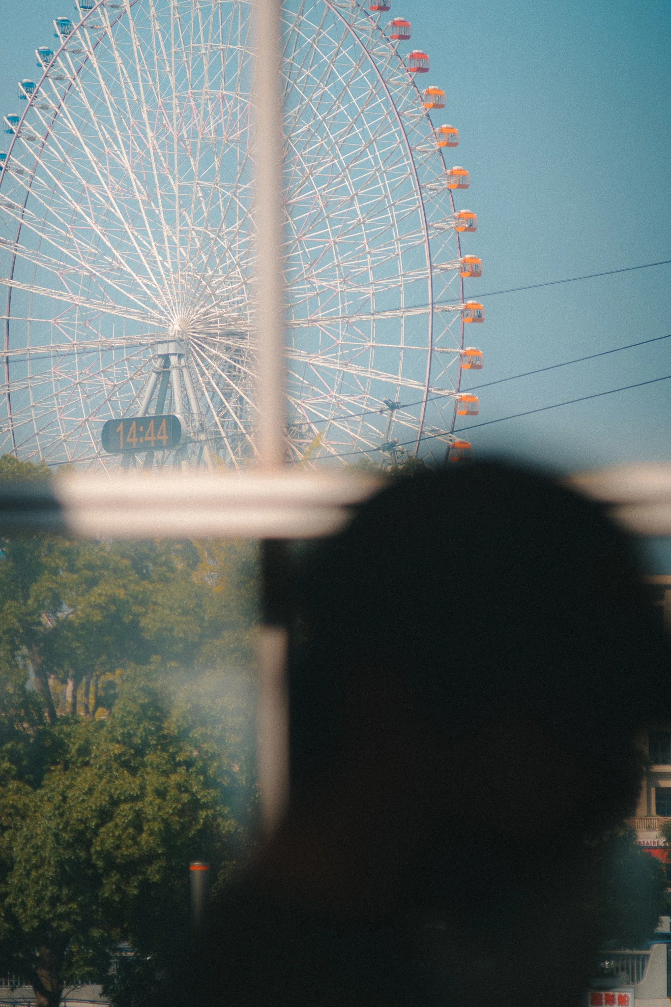 オールドレンズ作例】Canon FD135mm F3.5 S.C. (I)｜好 | Kodai Yamashita
