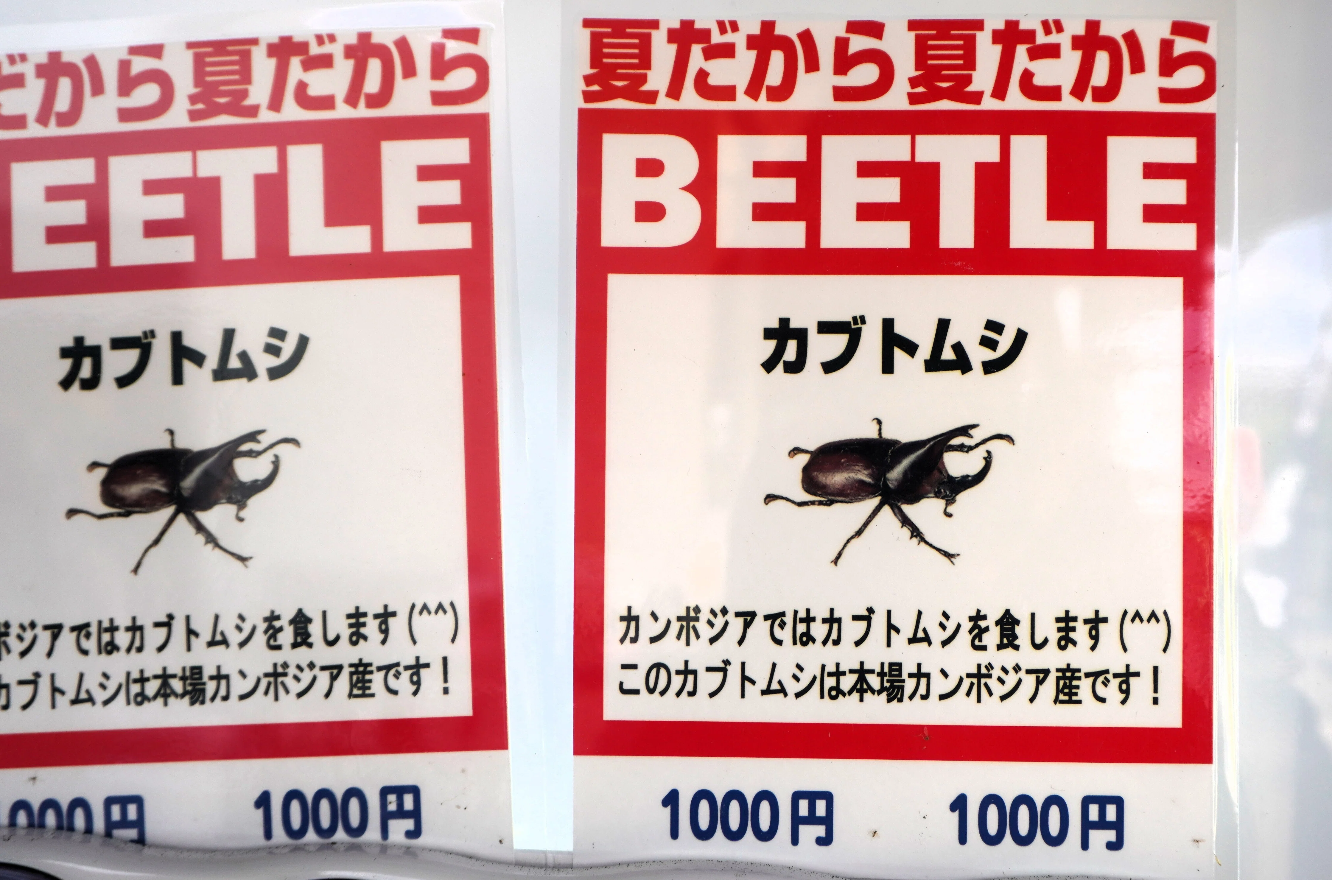 夏だから冒険したい。昆虫自動販売機｜出口やえの（長崎の取材ライター）