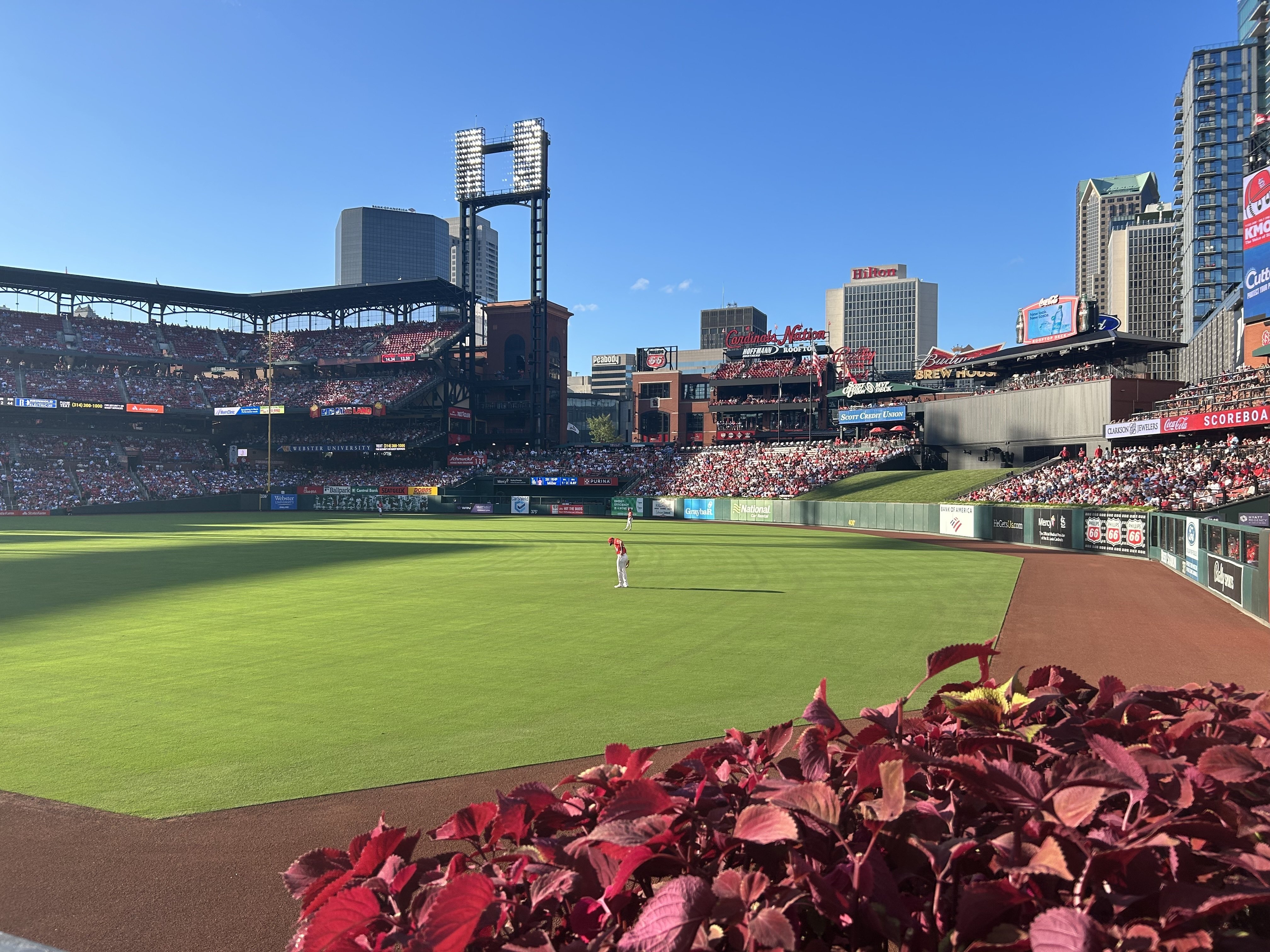 アメリカ】夏だ！大リーグだ！大谷×ヌートバーだ！夢のダブル