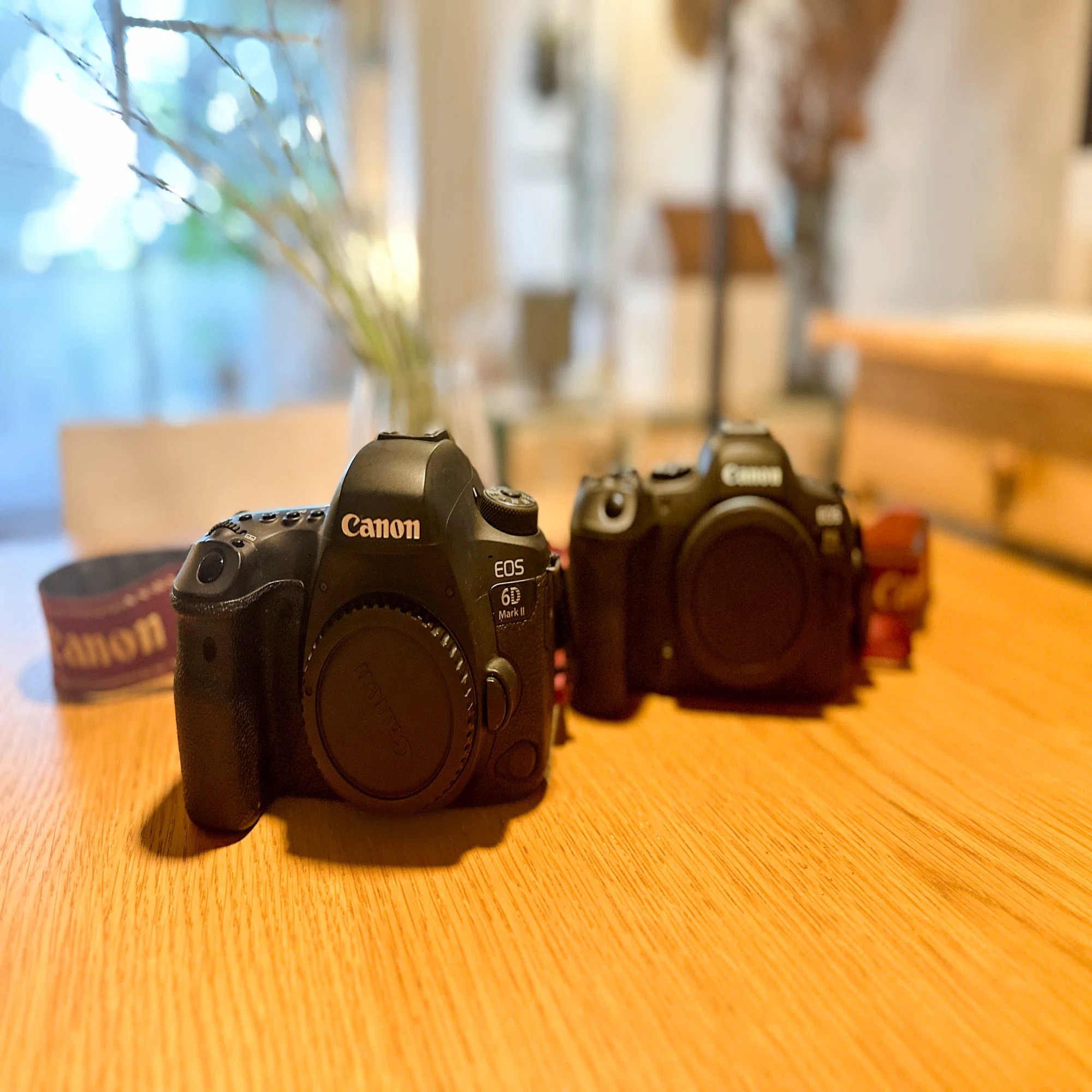 愛用のカメラは、Canon EOS6D MarkⅡ ＆ Canon EOS R6MarkⅡ♡｜田中 