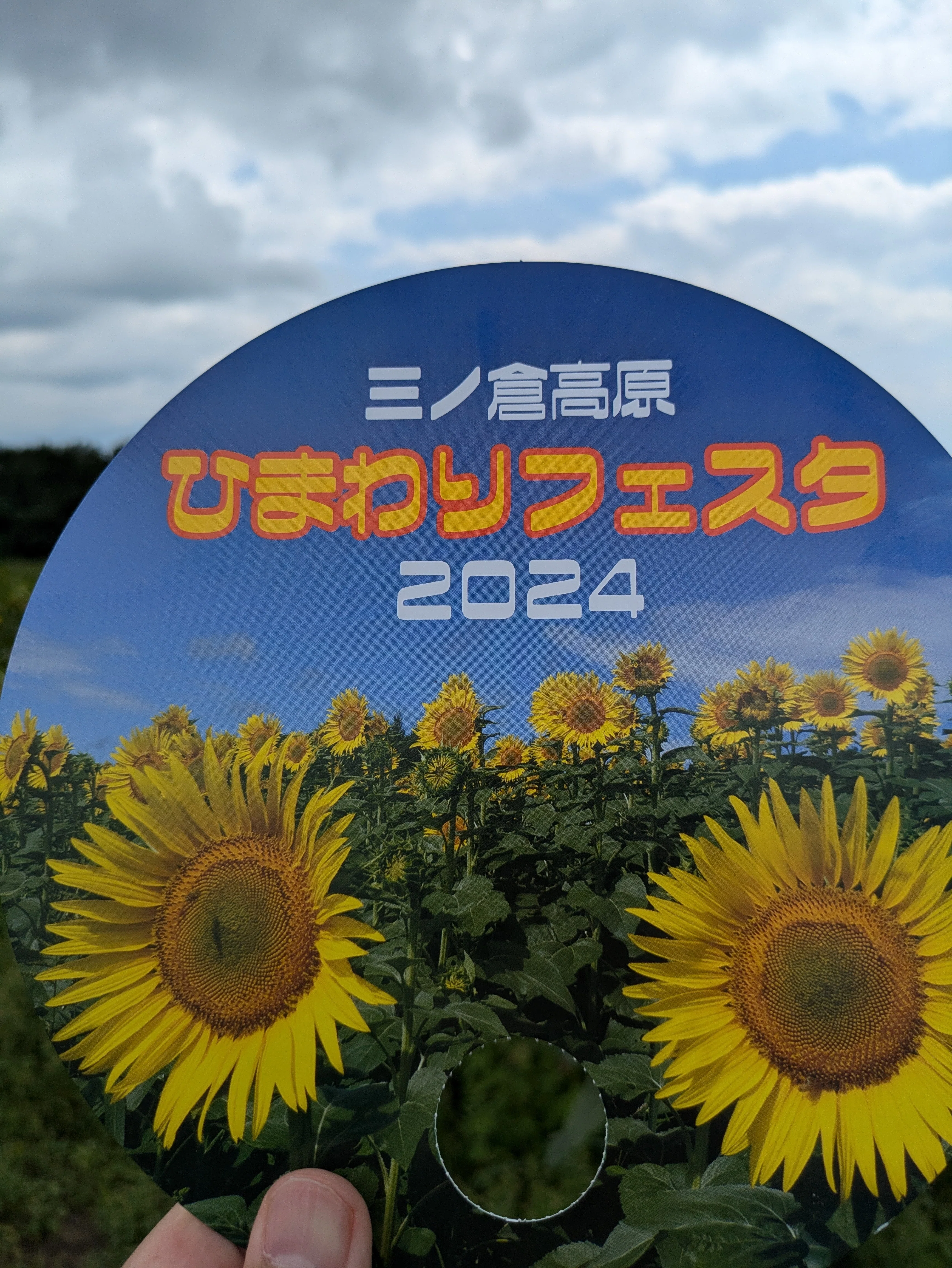 ひまわりお取引 そうだ、ひまわり見に行こう🌻｜いずこかのごろさん