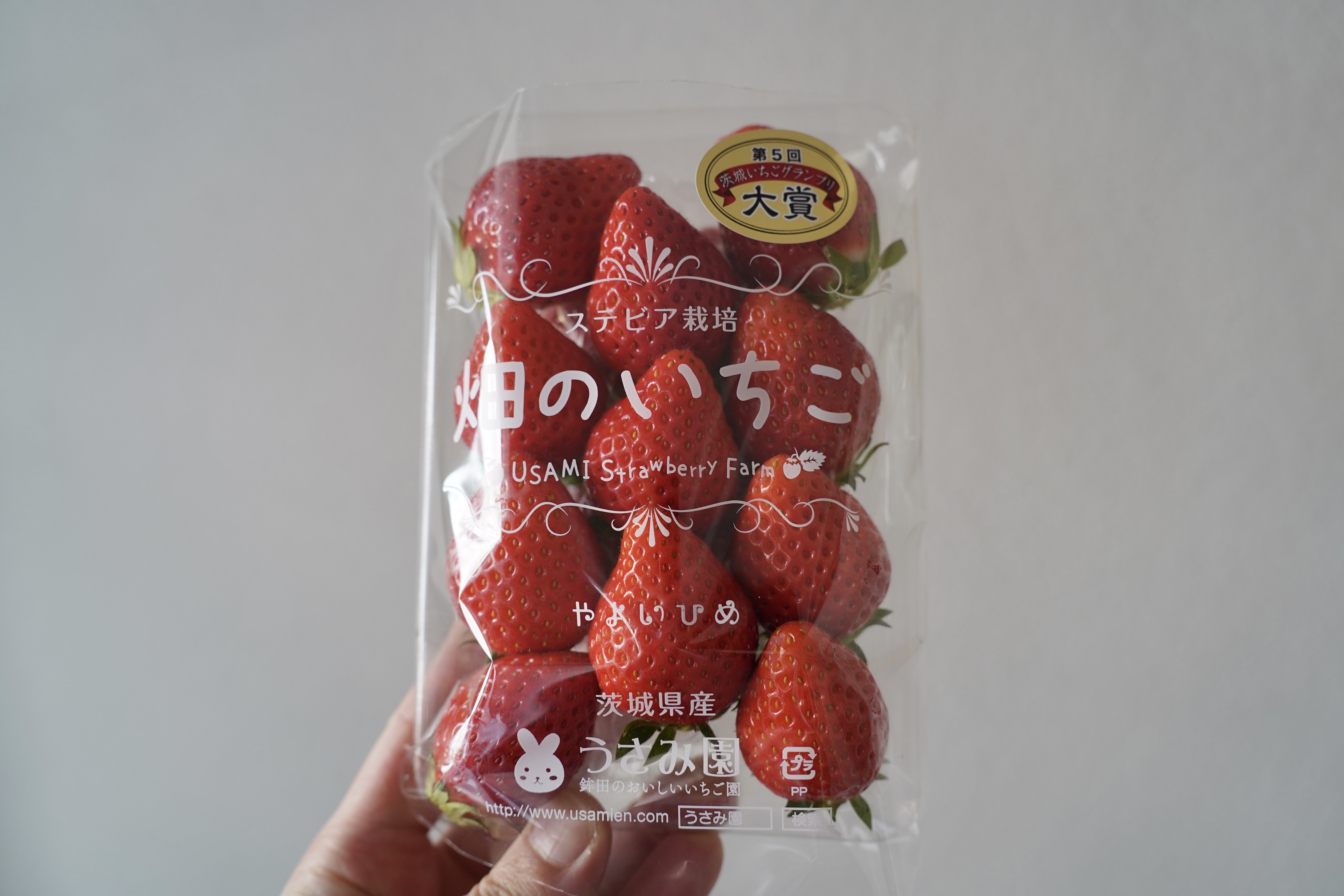 猫の森ドーナツBOX（9個入り） | SIUNAUS SWEETS（シウナス