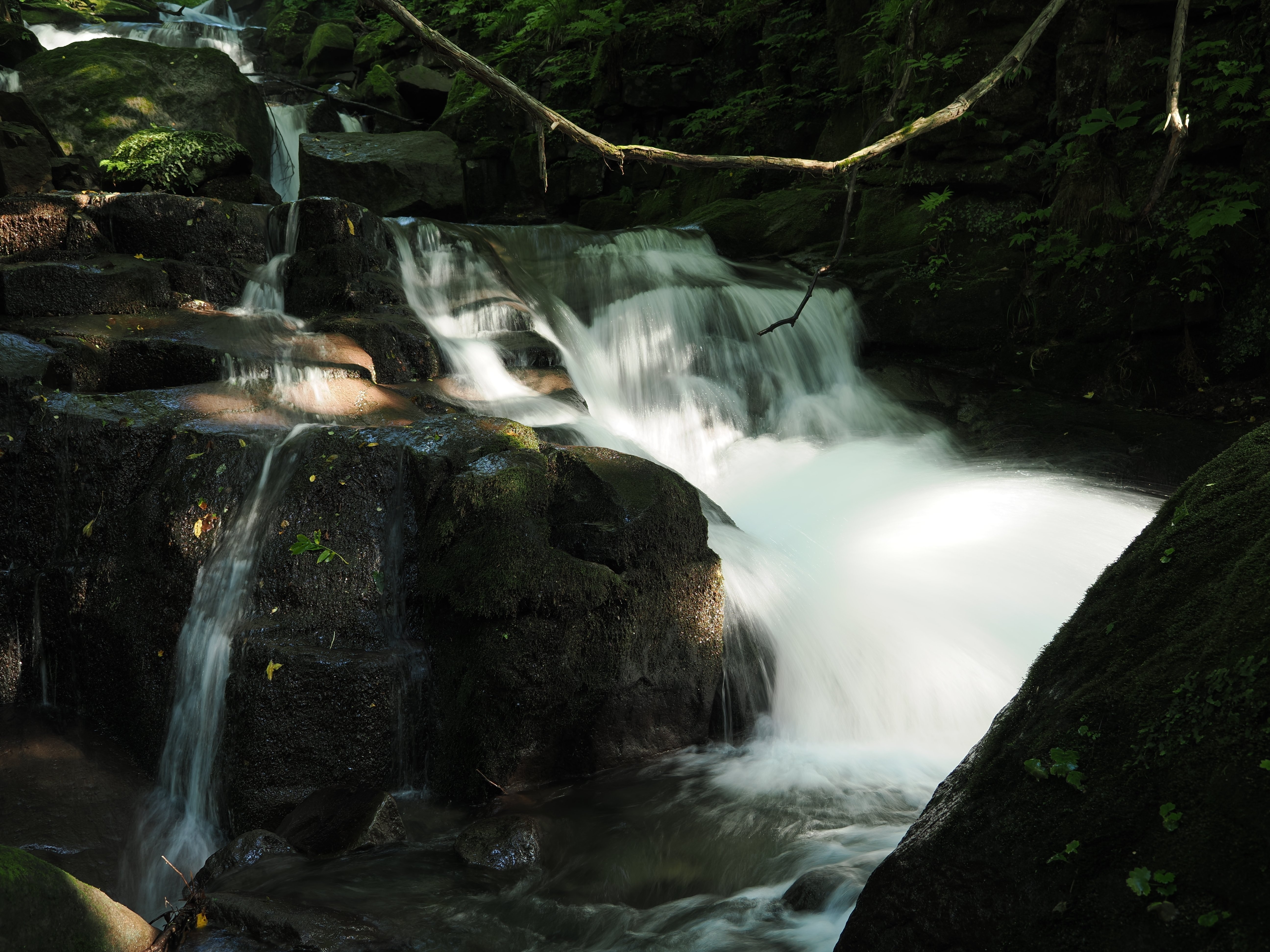 今日の奥入瀬渓流 24/8/24｜奥入瀬日和@星野リゾート