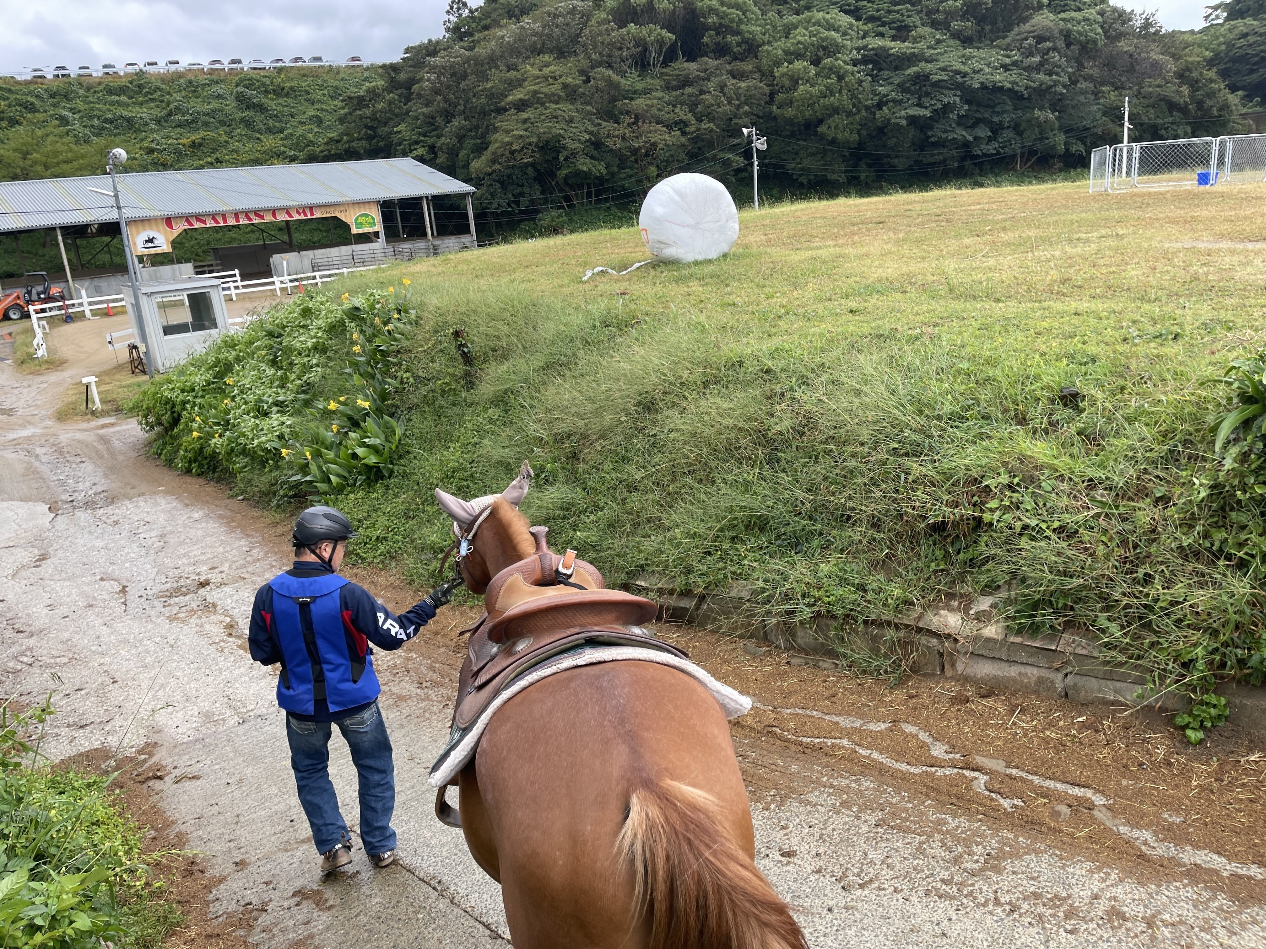 🏇 人生初の【落馬】は、「落馬認定」されませんでした｜大村