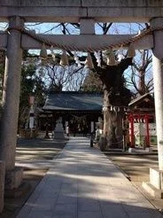 画像