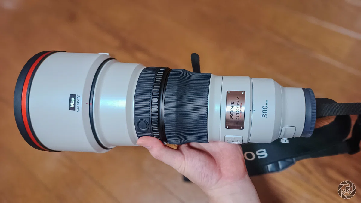 高価な機材を借りて撮るという選択—サンニッパ（300mm f/2.8）で挑んだ 