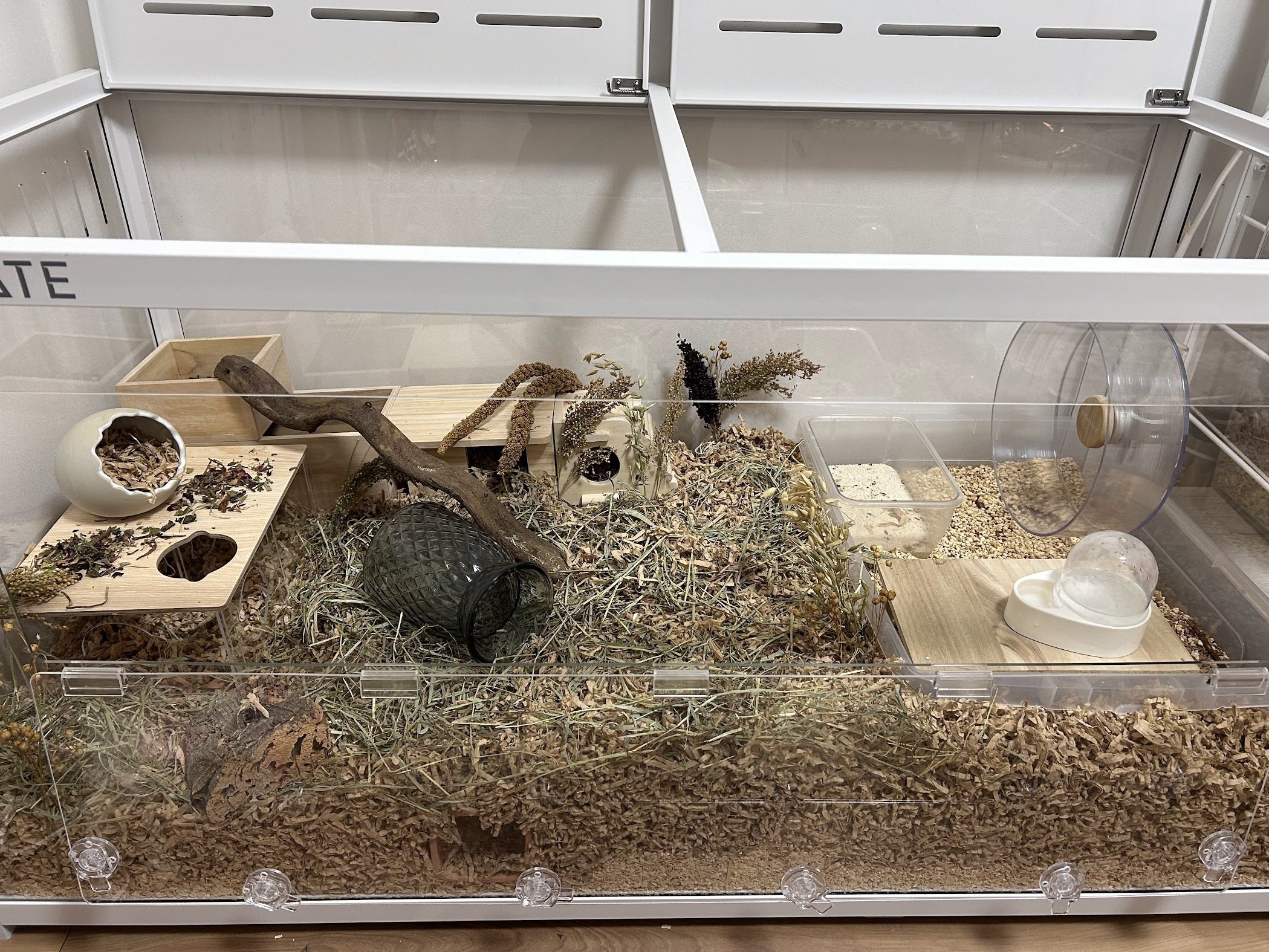 🐹120cmケージについて💡｜ふくまる