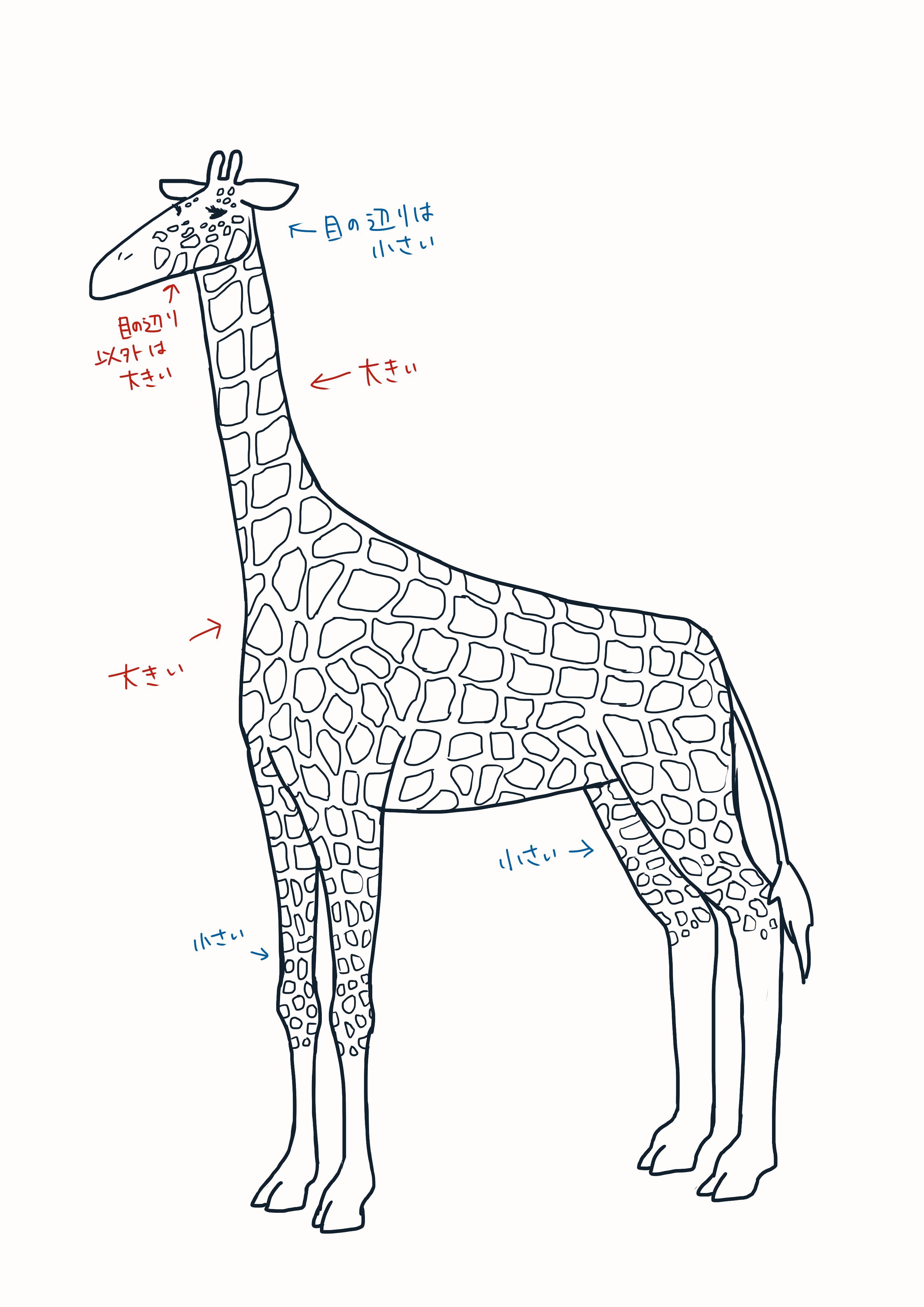 誰でも描ける！？動物イラスト～キリン編～｜沖縄こどもの国 Okinawa