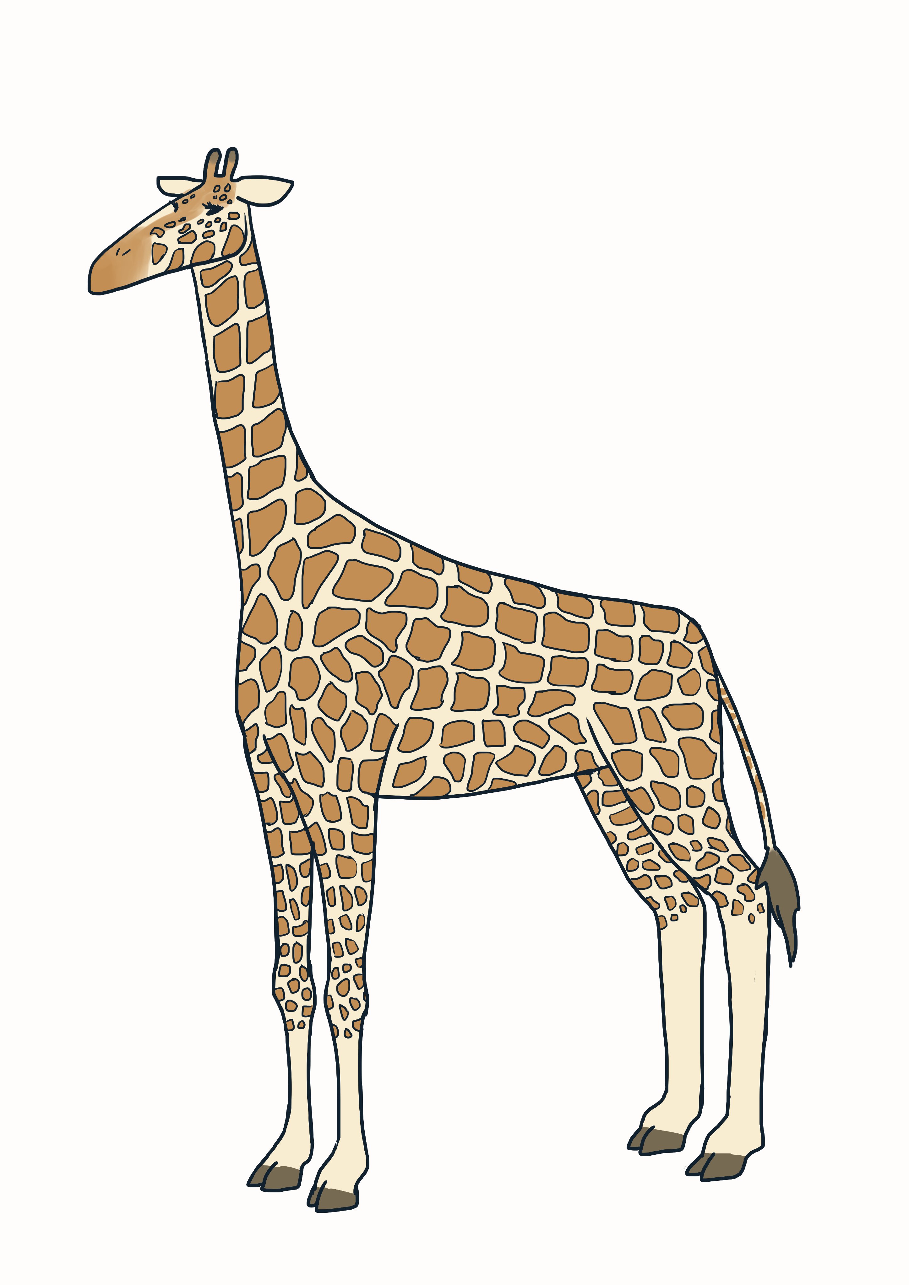 KIRIN様 リクエスト 2点 まとめ商品 きりん様 きりん様