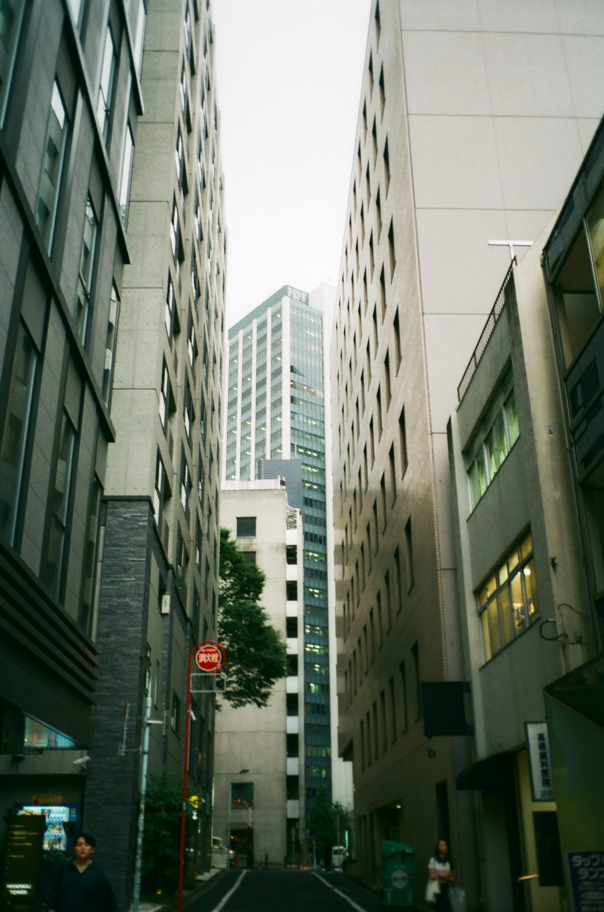 CONTAX T3というカメラのお話|和数 CONTAX T3というカメラのお話|和数
